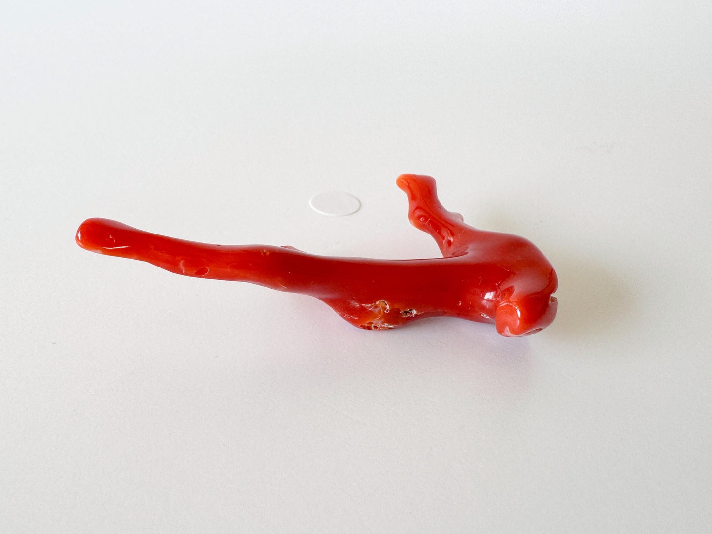 Japanese red(Aka) coral branch, 55mm, Hole on top, Natural red color coral for jewelry making