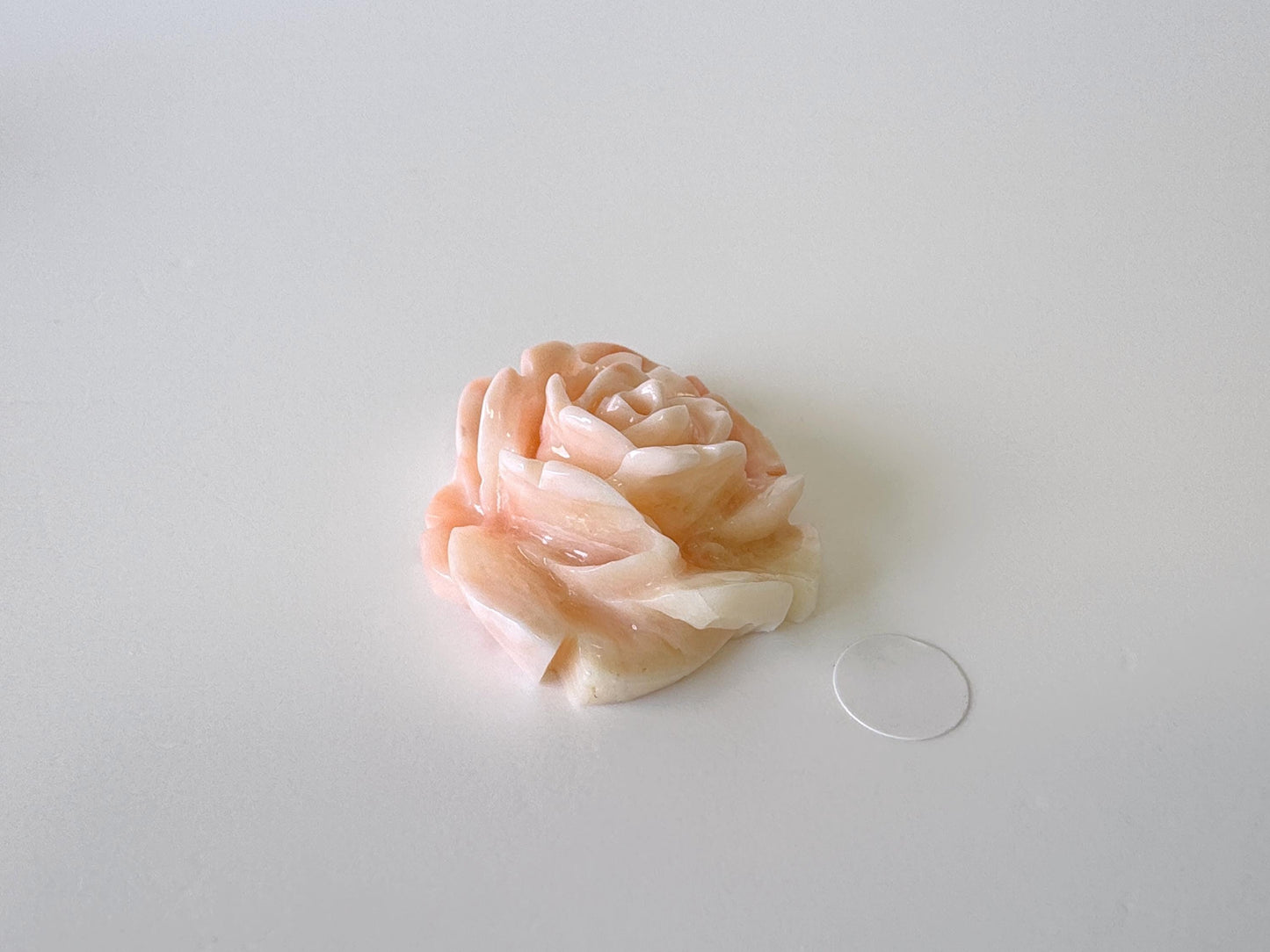 Natural Deep Sea Coral Rose Carving Loose, Natural Pink Color Coral, 32x26mm, Flat Back, For Jewelry Making, Hand Carved