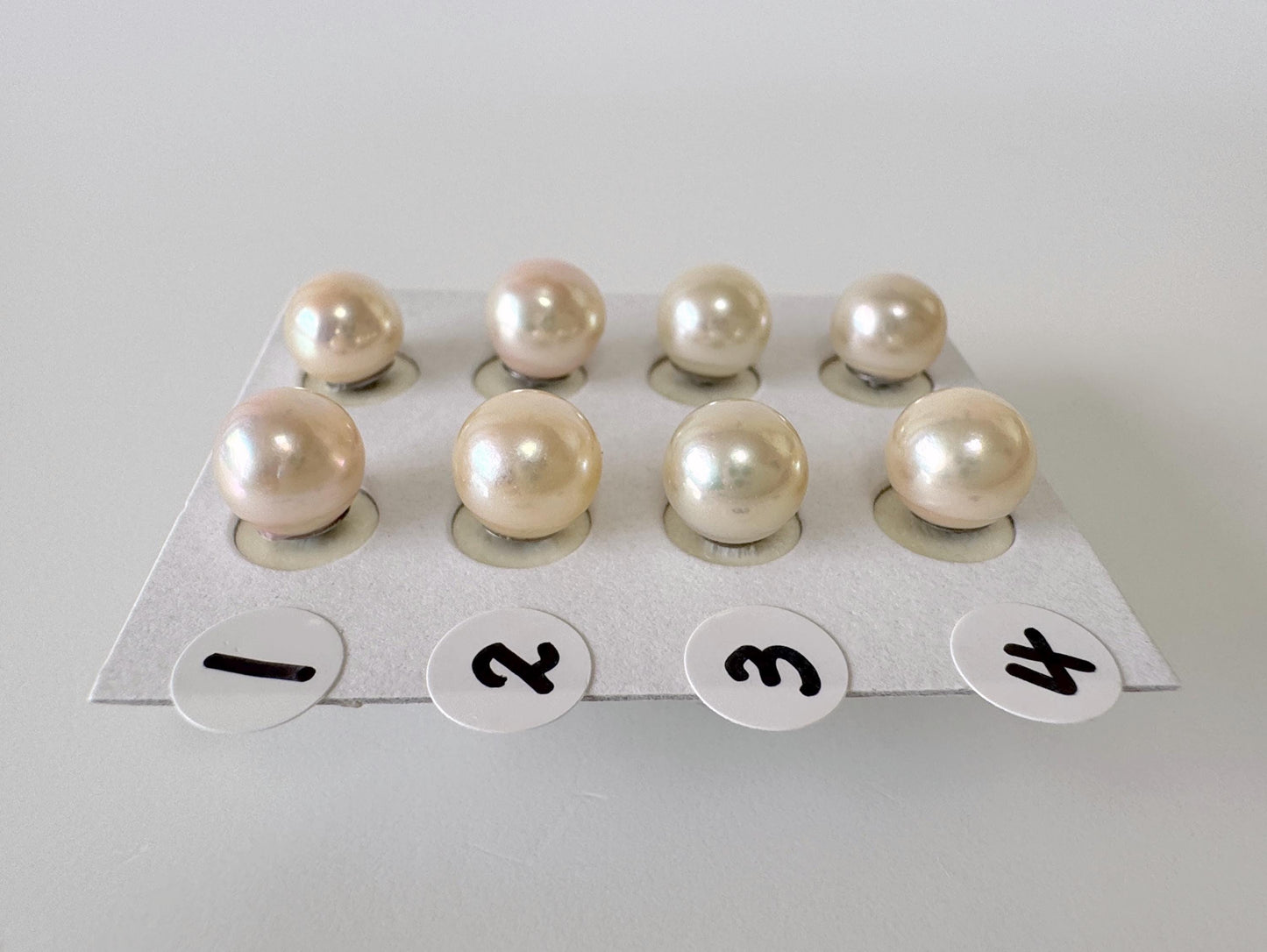 Japanese Cream White Akoya Pearl Stud Earrings, 8mm, Titanium Post/Ear Nuts, Genuine Akoya Pearl, Salt water pearl, Value-priced