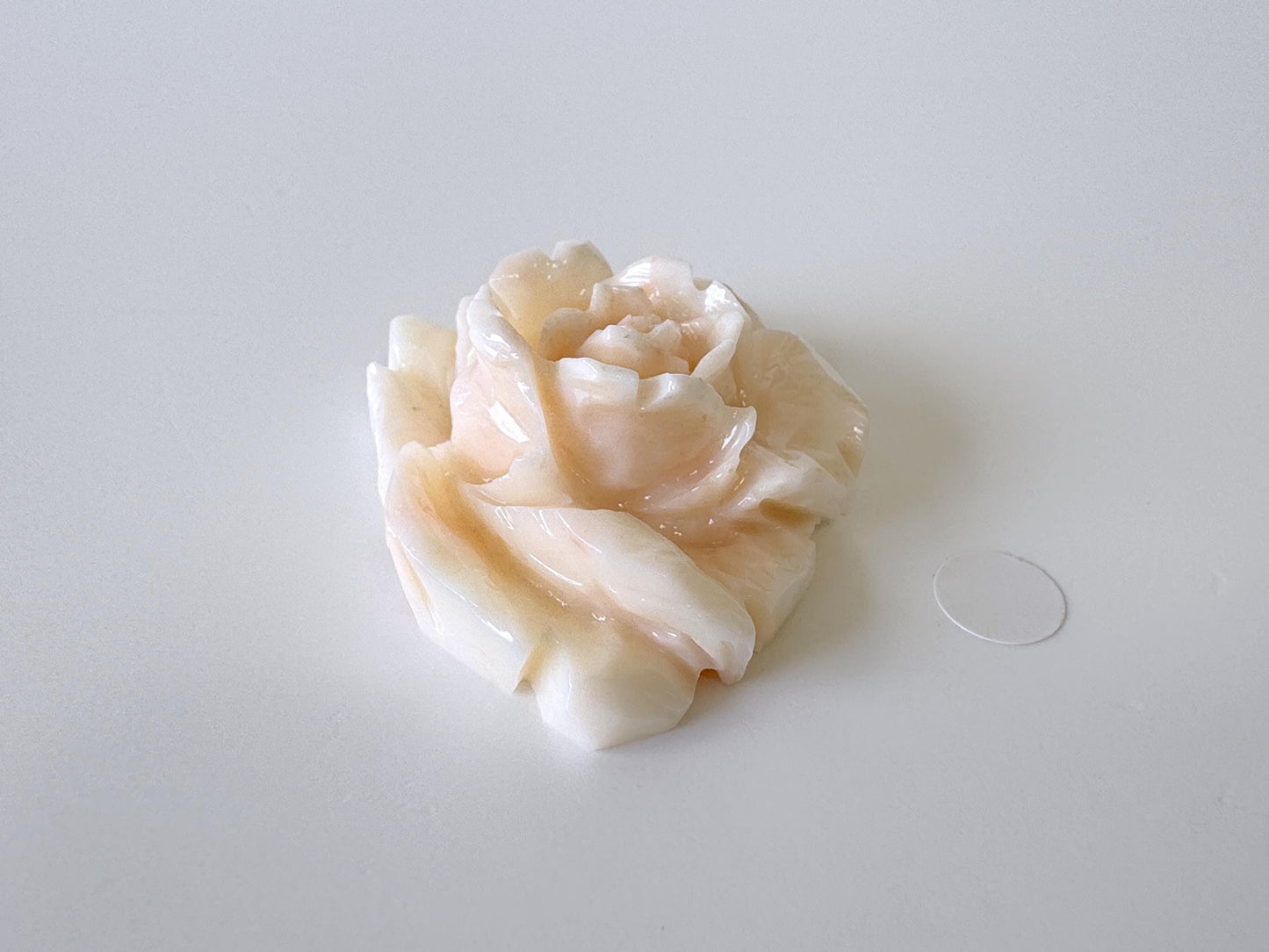 Natural Deep Sea Coral Rose Carving Loose, Natural Pink/White Color Coral, 44x35mm, Flat Back, For Jewelry Making