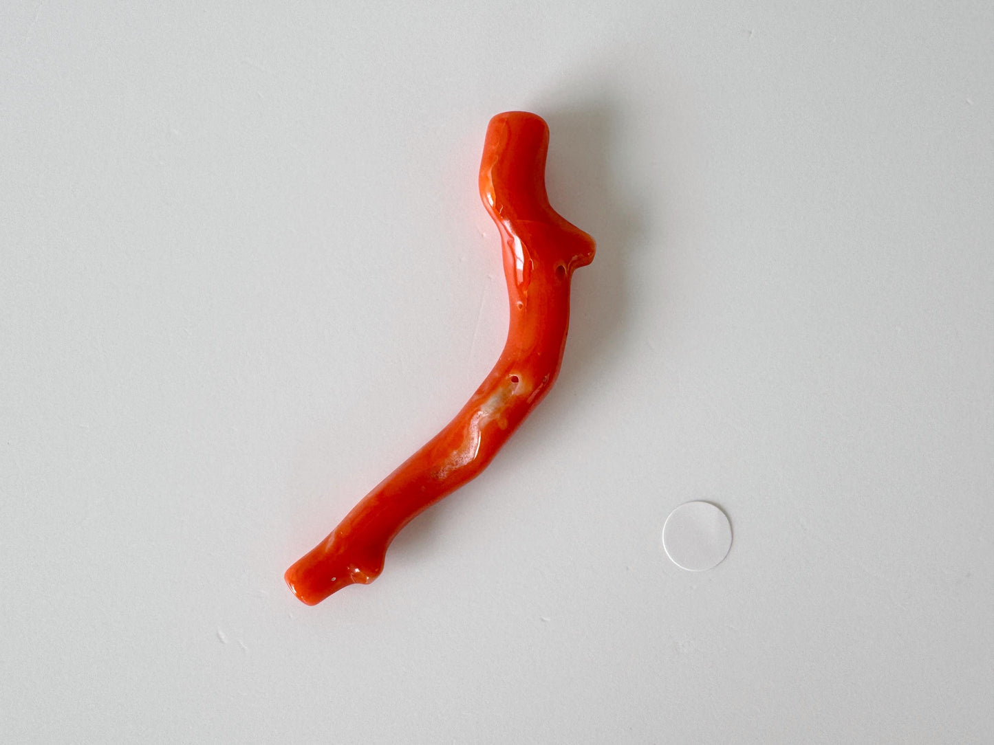 Japanese red(Aka) coral branch, 55mm, Hole on top, Natural vermilion color coral for jewelry making