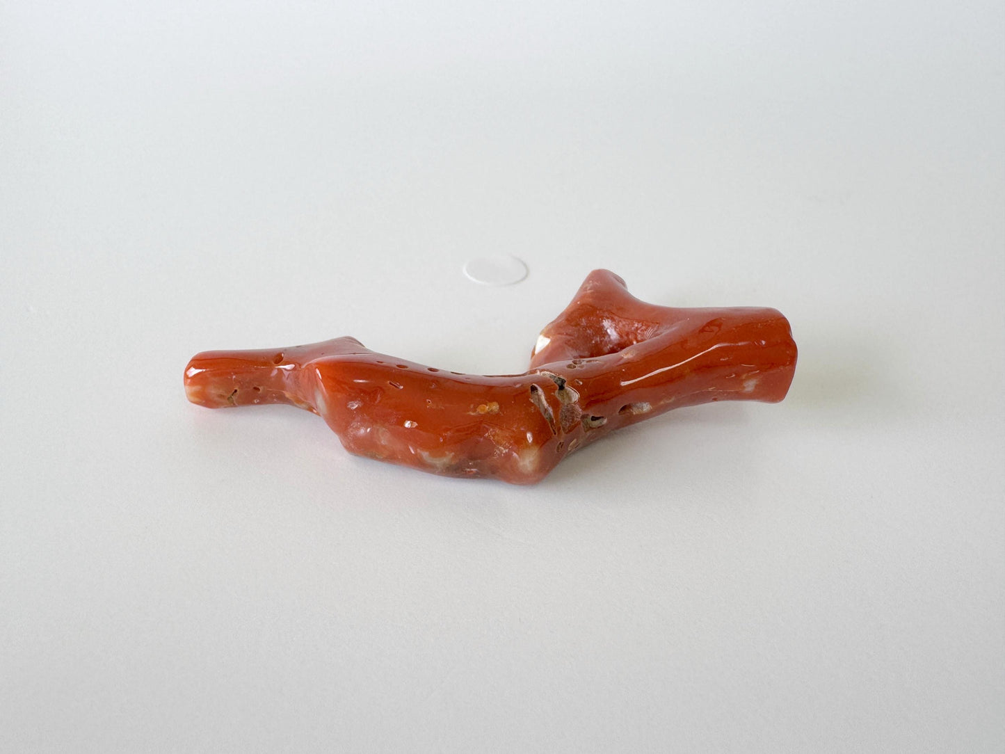 Japanese red(Aka) coral branch, 55mm, Hole on top, Natural red color coral for jewelry making