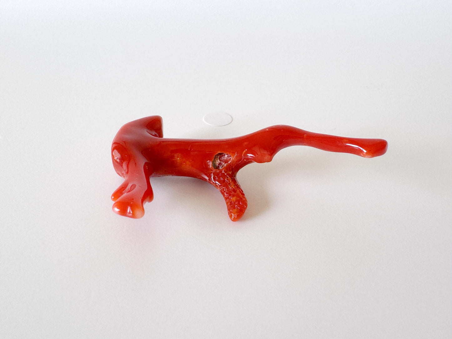 Japanese red(Aka) coral branch, 55mm, Hole on top, Natural red color coral for jewelry making