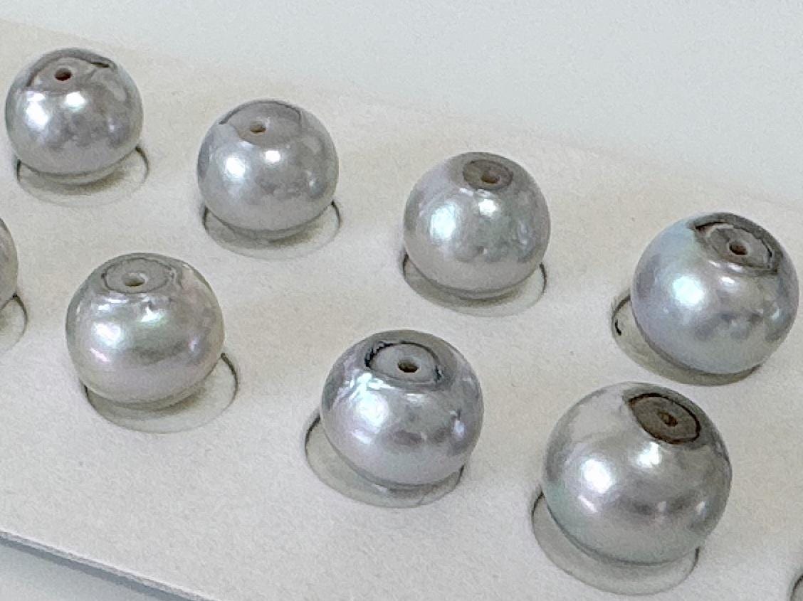 Blue Akoya Pearl Stud Earrings, 8.7mm, Titanium Posts (Cobalt treated)