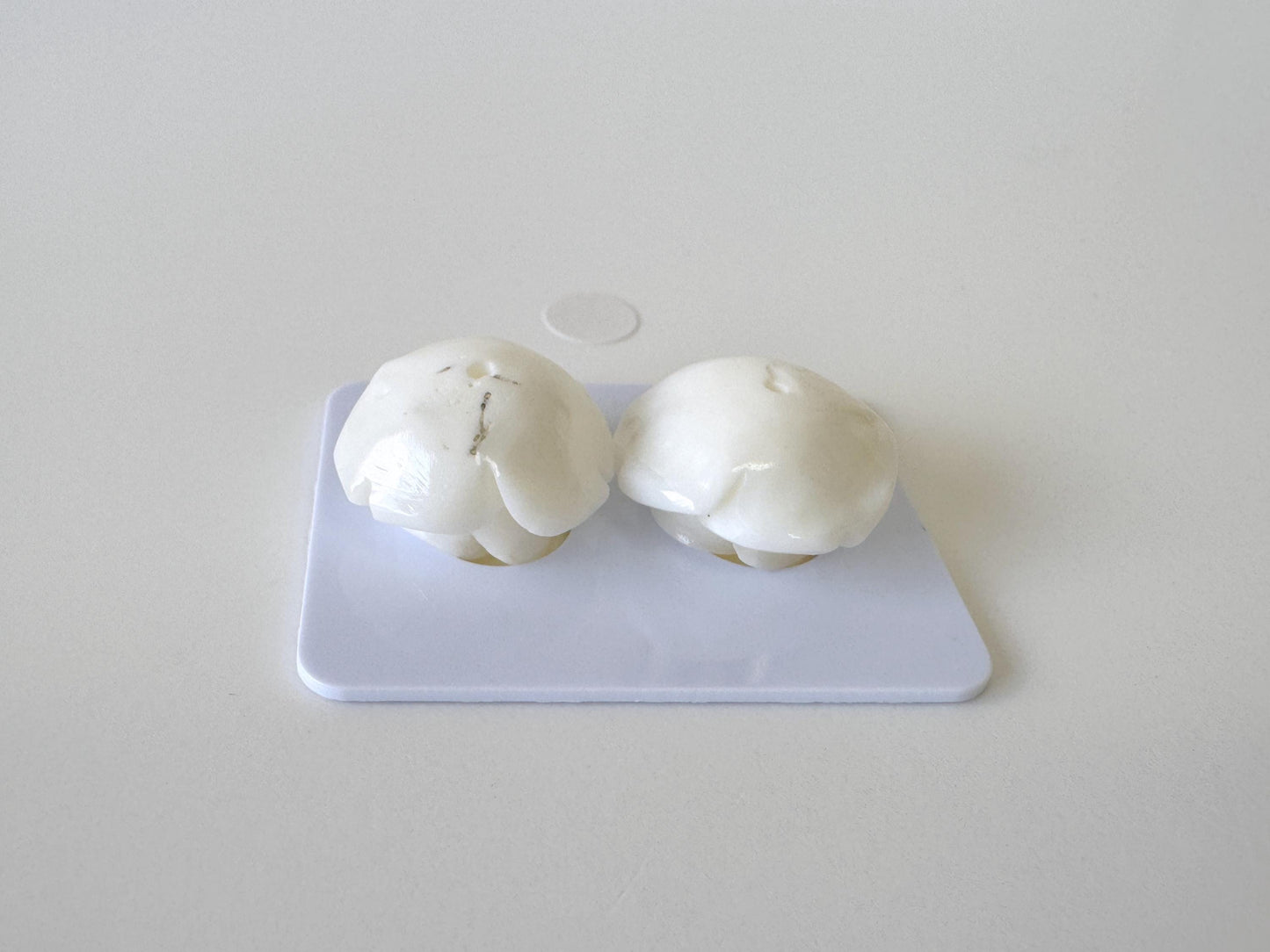 Natural White Coral Rose Loose Pair, 17mm, White Color Rose, Natural Color Coral Rose, Price per Pair, Genuine Precious Coral