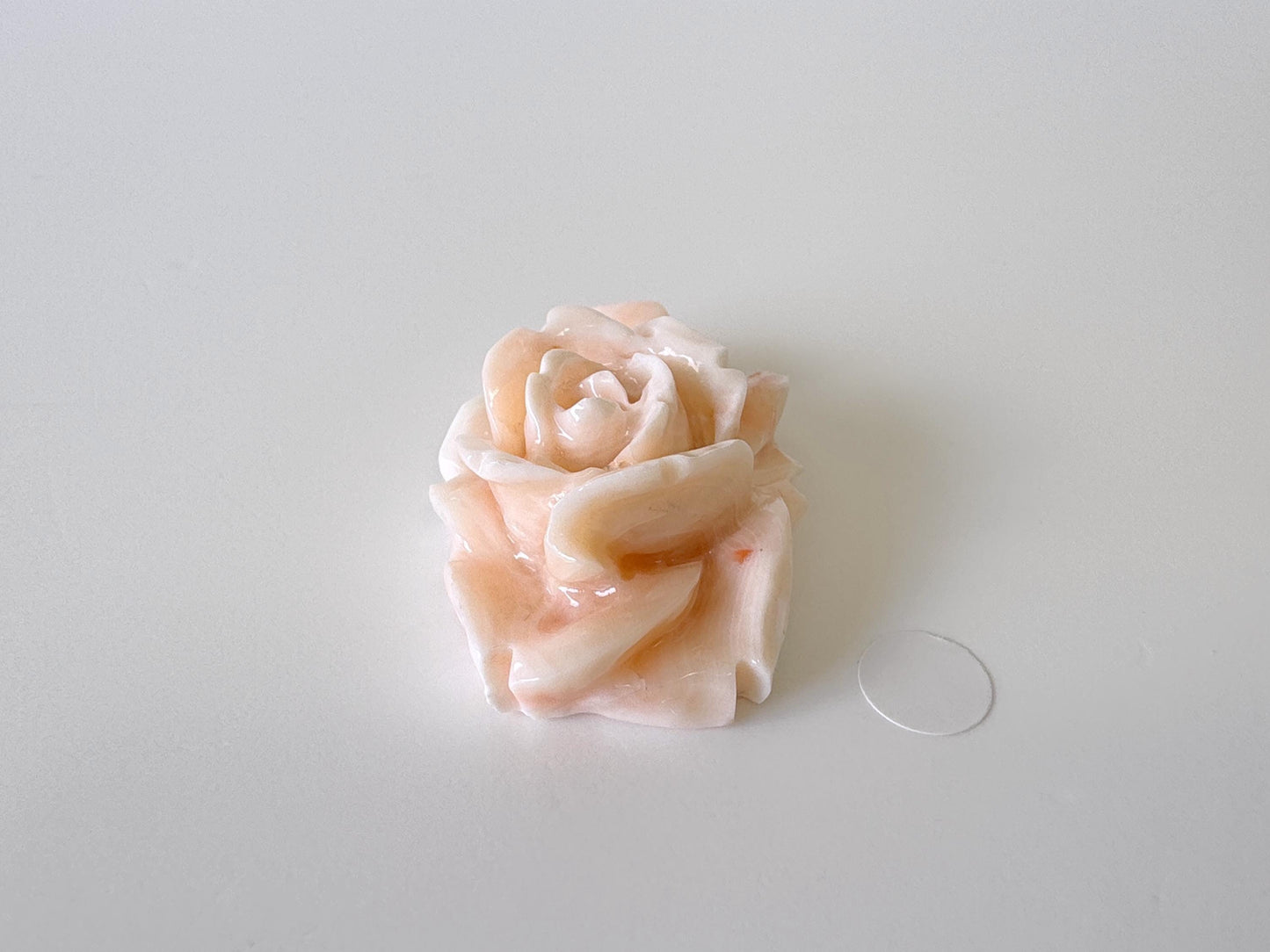 Natural Deep Sea Coral Rose Carving Loose, Natural Pink/White Color Coral, 38x25mm, Flat Back, For Jewelry Making