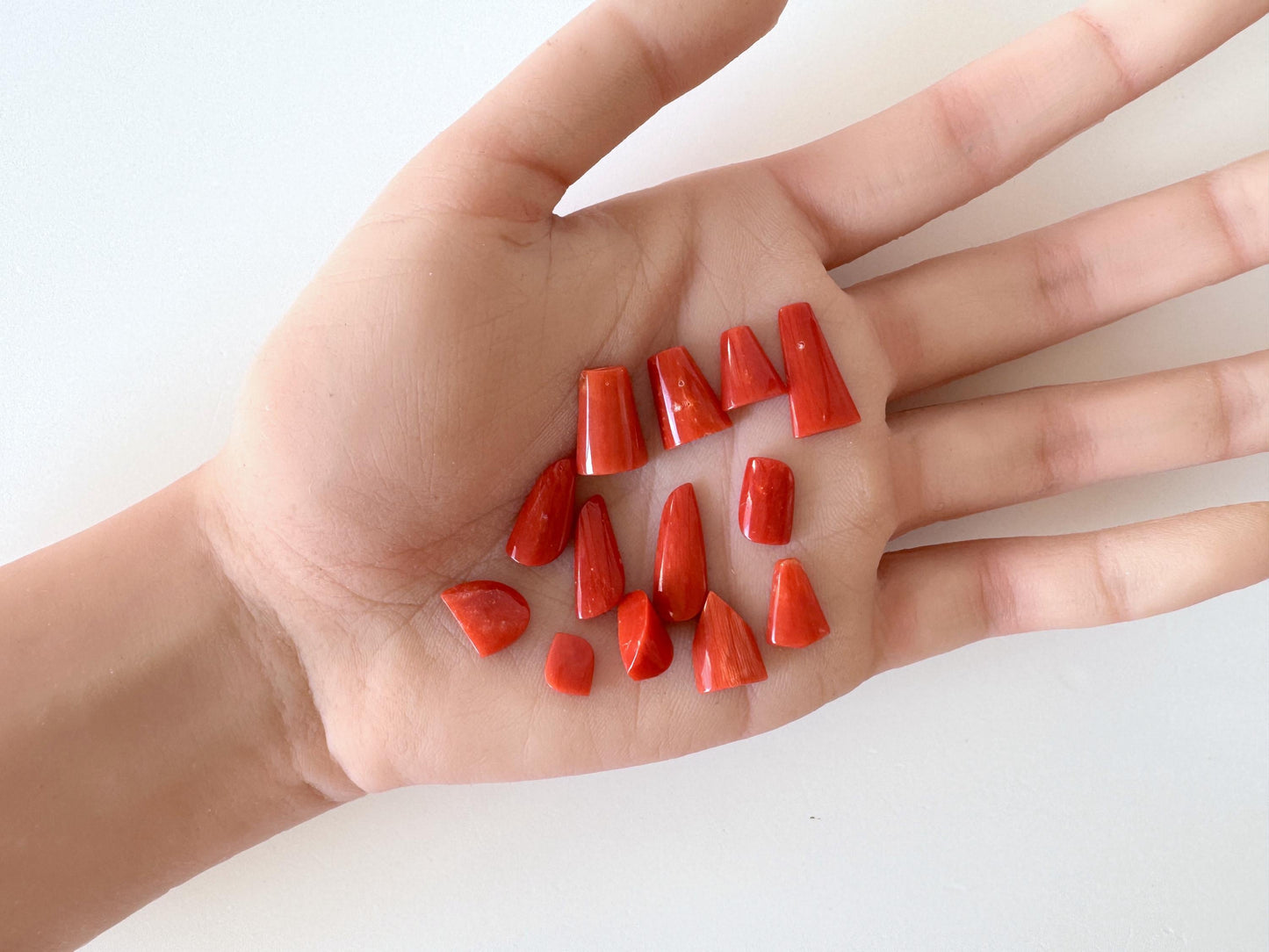 Red Mediterranean Coral Unique Shaped Cabochons: Jewelry Making Supplies (12-13pcs)