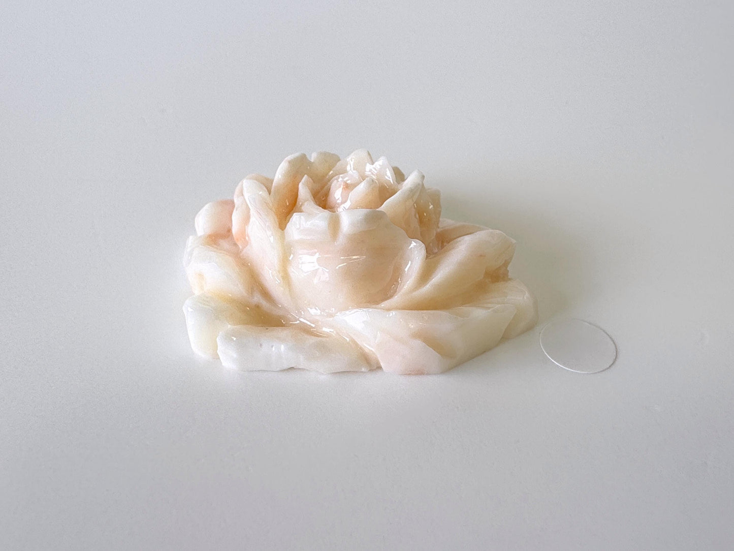 Natural Deep Sea Coral Rose Carving Loose, Natural Pink/White Color Coral, 44x35mm, Flat Back, For Jewelry Making