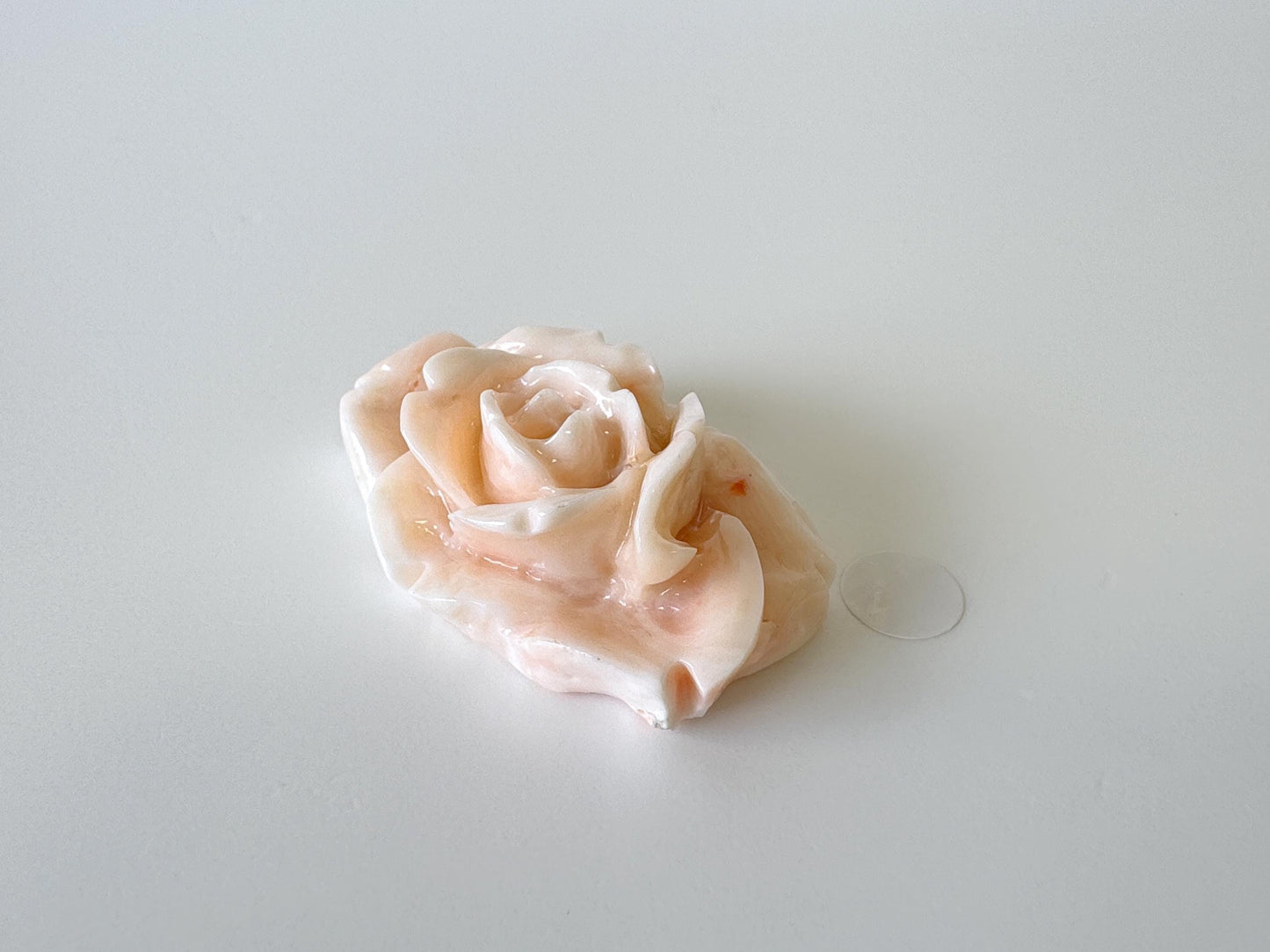 Natural Deep Sea Coral Rose Carving Loose, Natural Pink/White Color Coral, 38x25mm, Flat Back, For Jewelry Making