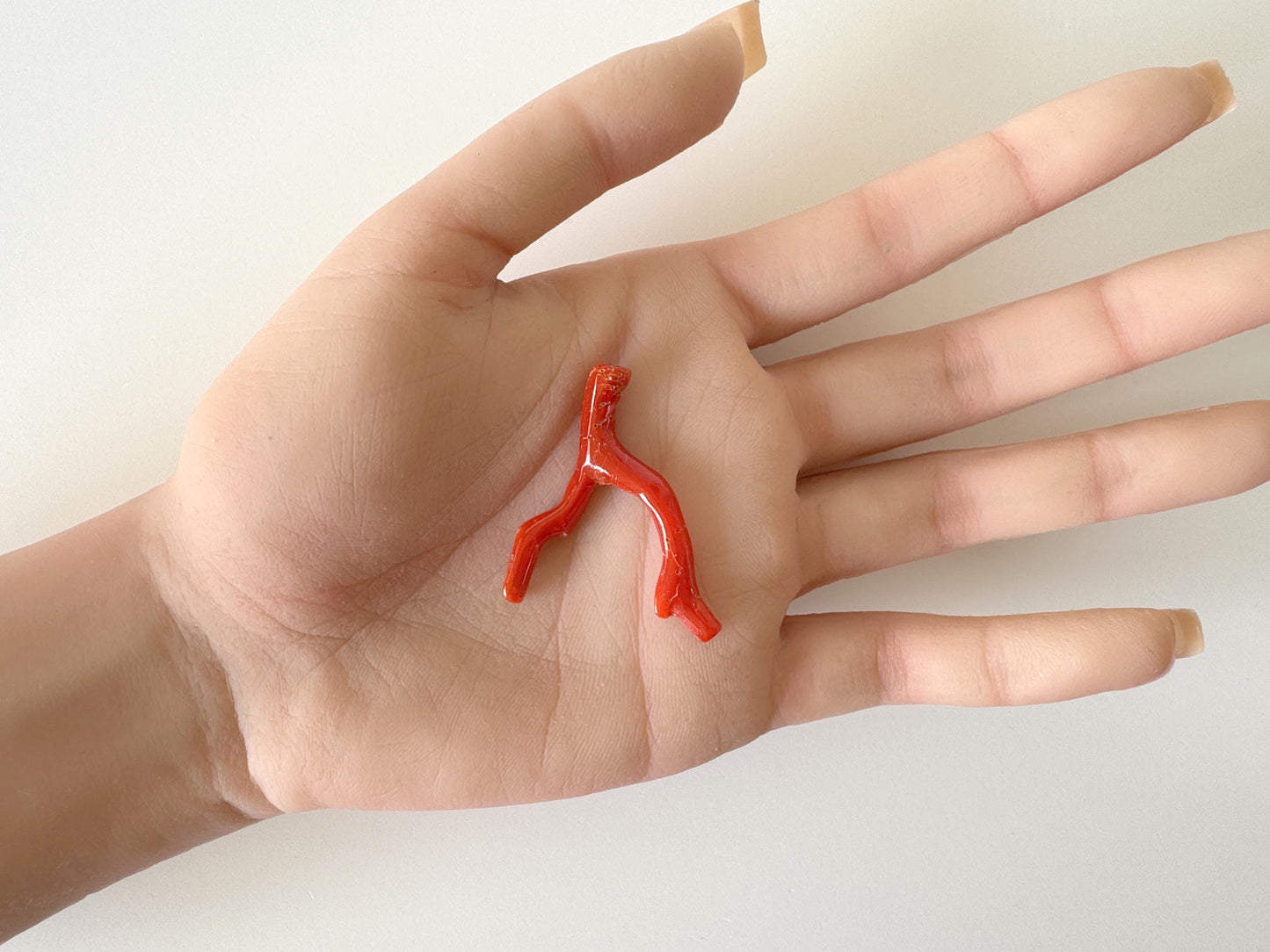 Japanese red(Aka) coral branch, 35mm, side full hole, natural red color coral for jewelry making