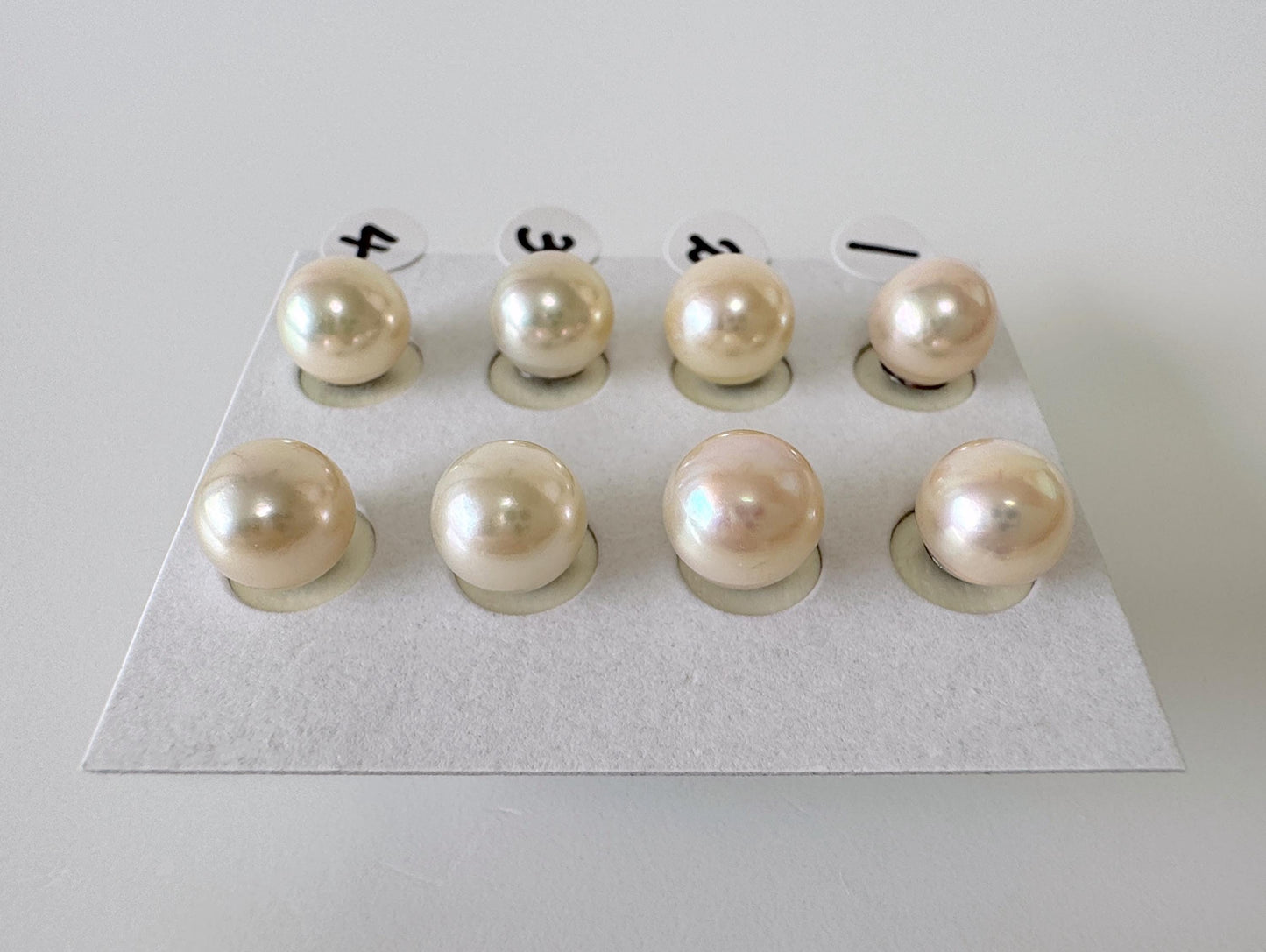 Japanese Cream White Akoya Pearl Stud Earrings, 8mm, Titanium Post/Ear Nuts, Genuine Akoya Pearl, Salt water pearl, Value-priced