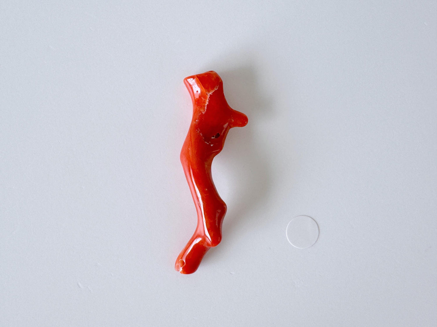 Japanese red(Aka) coral branch, 45mm, Hole on top, Natural red color coral for jewelry making