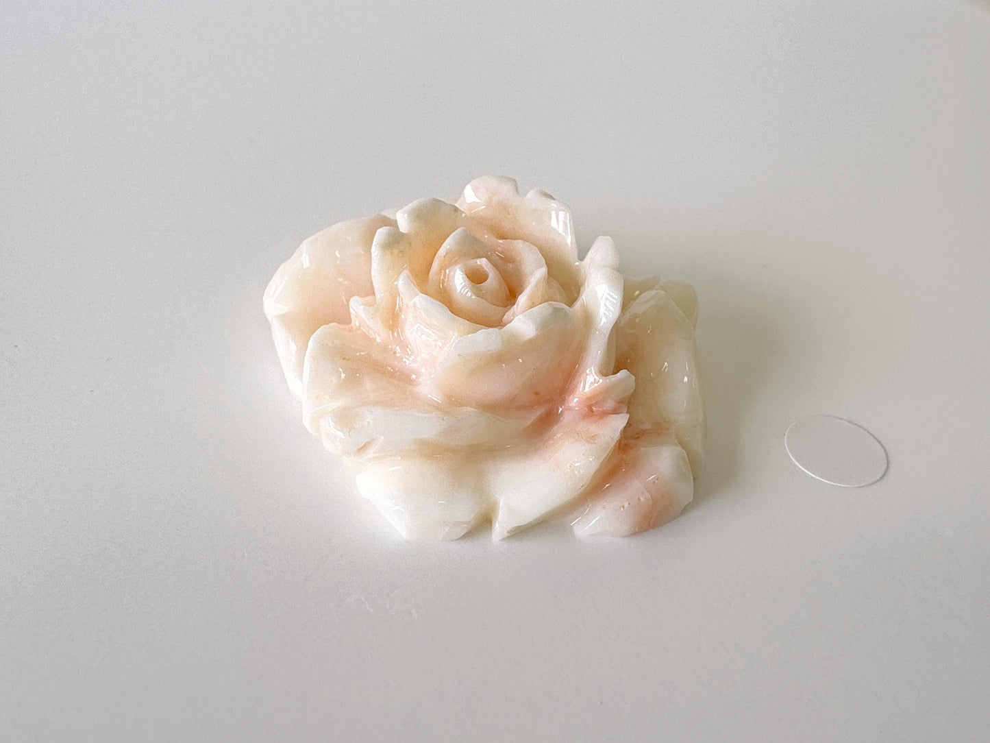 Natural Deep Sea Coral Rose Carving Loose, Natural Pink/White Color Coral, 44x35mm, Flat Back, For Jewelry Making