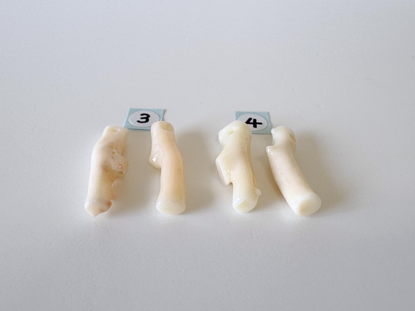 Value-priced Natural White Coral Branch Loose, Set of 2 pieces, Natural Color Deep Sea Midway Coral Branch