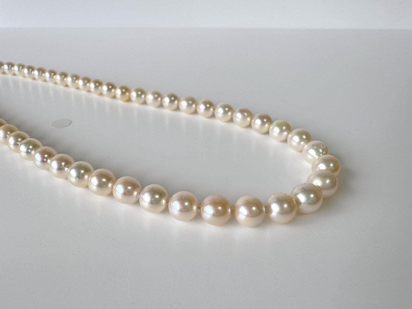 Necklace, 7-7.9mm Japanese Cream White Akoya Pearl Necklace with Silver Clasp, Genuine Akoya Pearl, 45cm, 17.7in, Cultured Salt water pearl