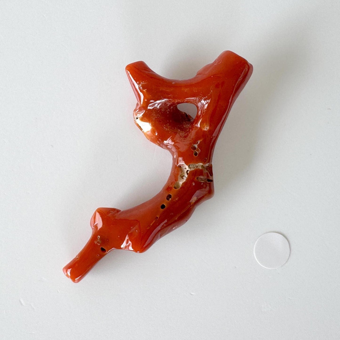 Japanese red(Aka) coral branch, 55mm, Hole on top, Natural red color coral for jewelry making