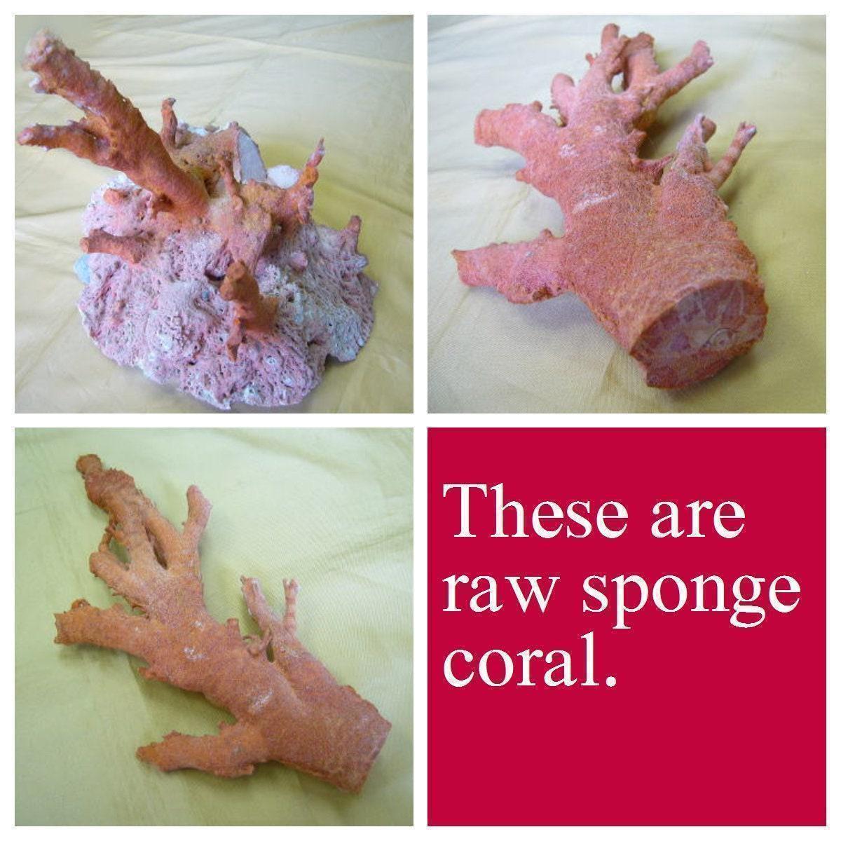 Sponge Coral Rose Ring: Natural Patterned Red Coral Flower Jewelry, Sterling Silver (Size Jp 13, US 6.5-7, UK M-N, IT 53)