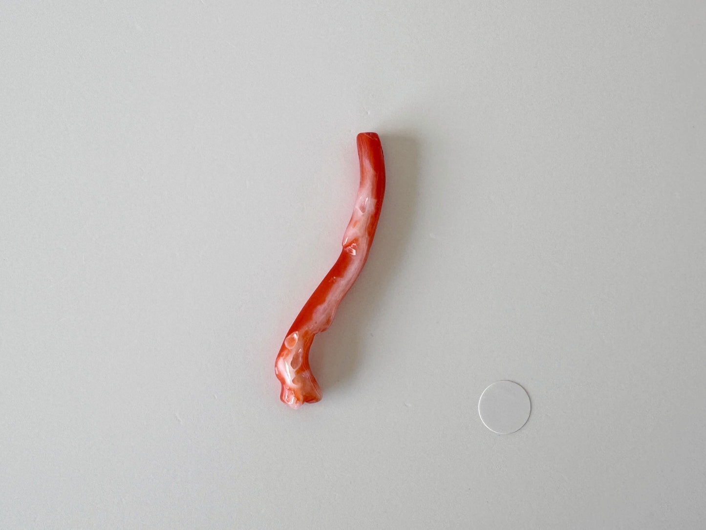 Japanese red(Aka) coral branch, 43mm, side full hole, natural red color coral for jewelry making