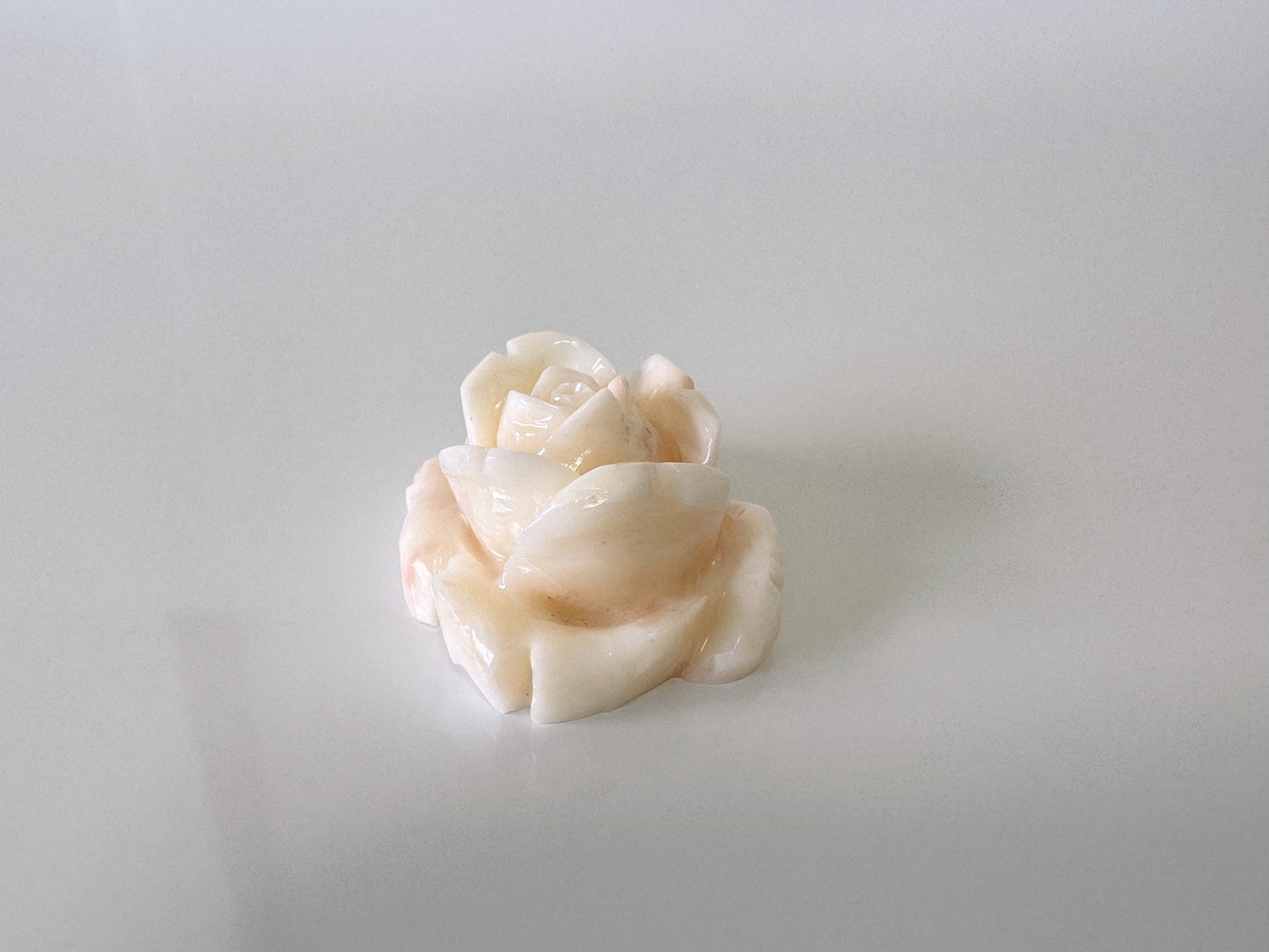 Natural Deep Sea Coral Rose Carving Loose, Natural Pale White Pink Color Coral, 29x22mm, Flat Back, For Jewelry Making