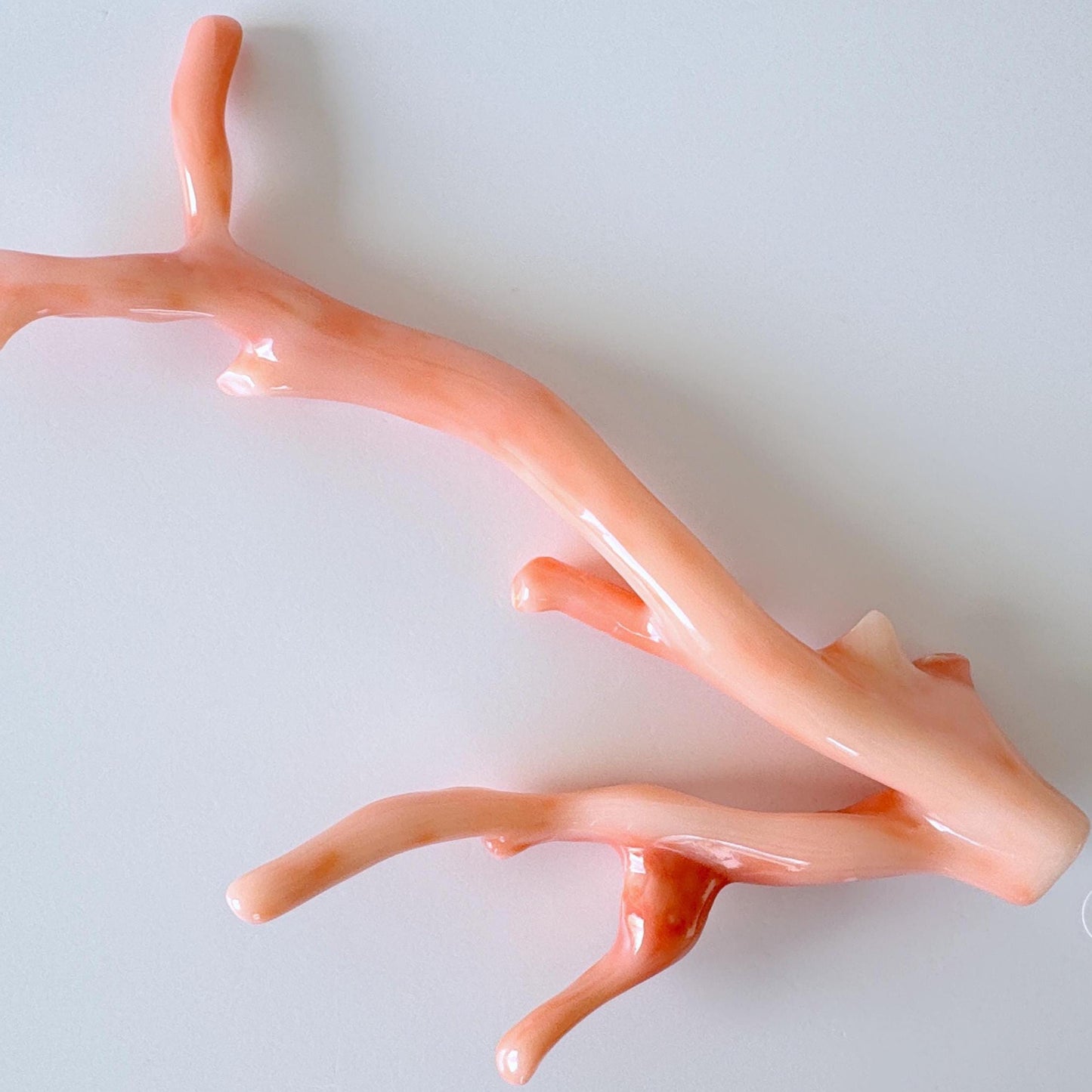 14.5x7cm Natural Deep Sea Coral Branch Loose, Genuine Natural Color Pink/Orange Color Coral Branch, No Drilled Hole, For Display, Etc.