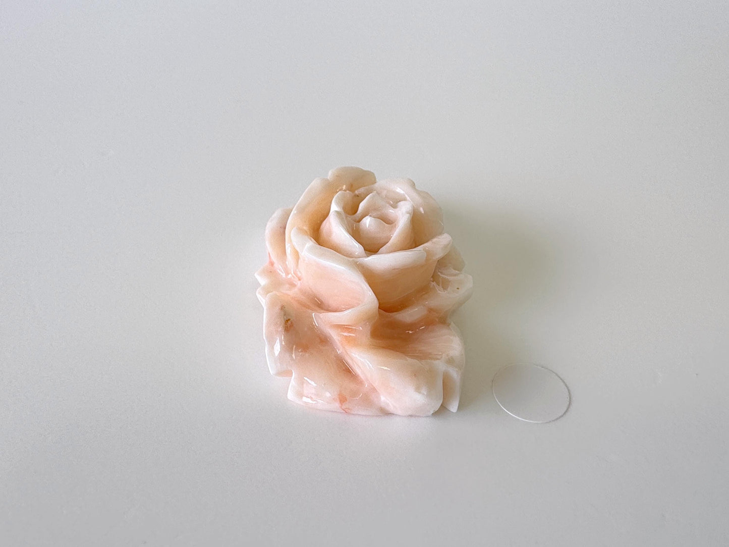 Natural Deep Sea Coral Rose Carving Loose, Natural Pink/White Color Coral, 38x25mm, Flat Back, For Jewelry Making