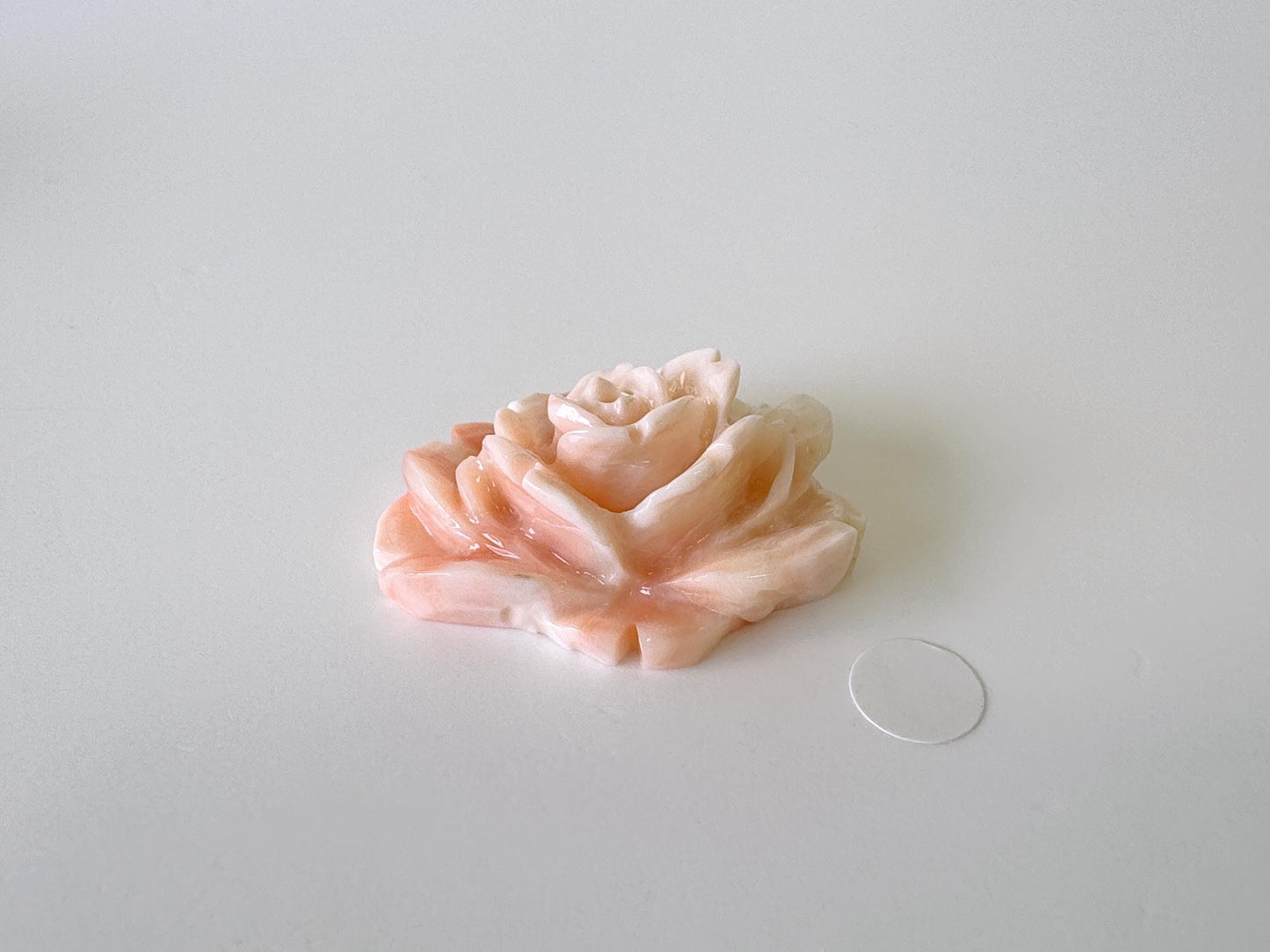 Natural Deep Sea Coral Rose Carving Loose, Natural Pink Color Coral, 32x26mm, Flat Back, For Jewelry Making, Hand Carved
