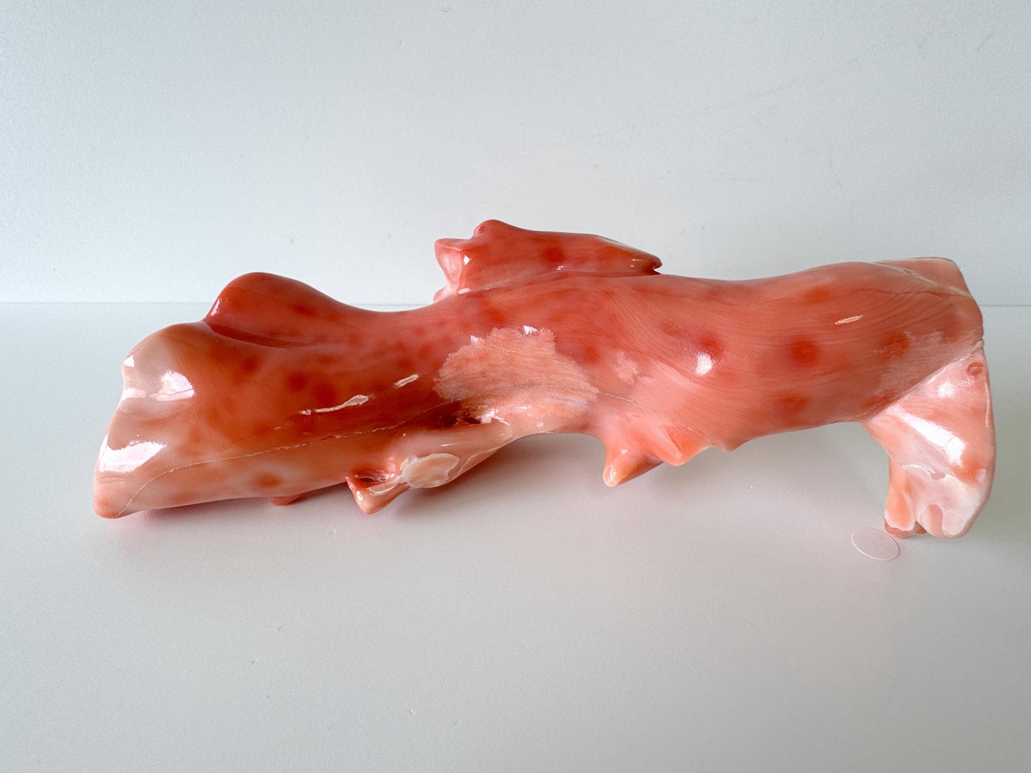 15x5cm Big Diameter Natural Deep Sea Coral Branch Loose, Genuine Natural Color Orange/Pink Color Coral Branch, No Drilled Hole, For Display