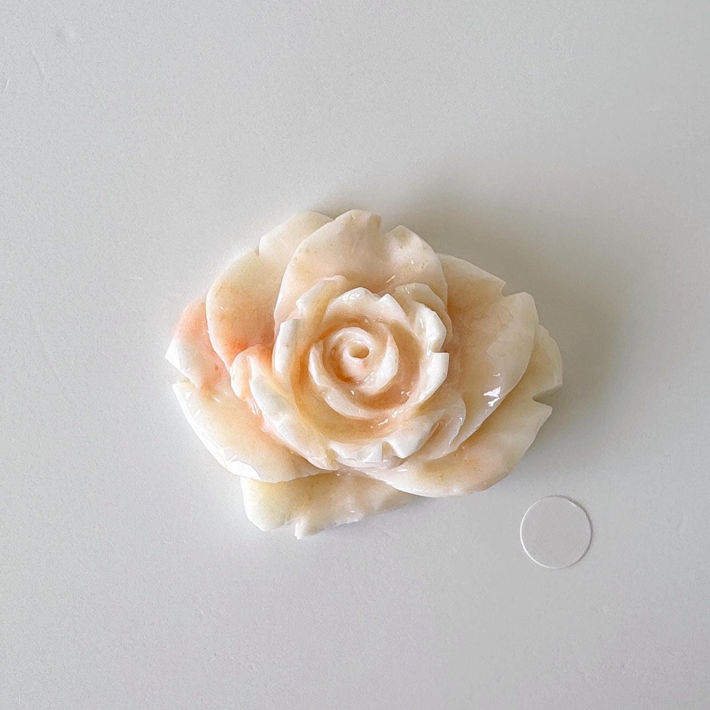 Natural Deep Sea Coral Rose Carving Loose, Natural Pink/White Color Coral, 44x35mm, Flat Back, For Jewelry Making