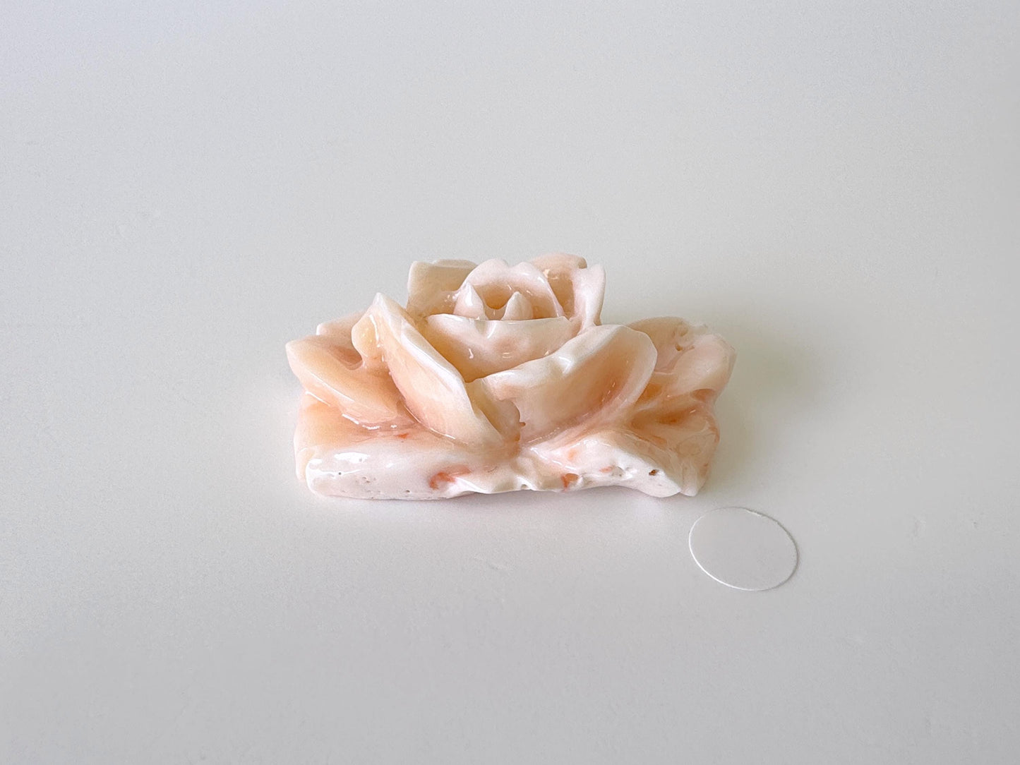 Natural Deep Sea Coral Rose Carving Loose, Natural Pink/White Color Coral, 38x25mm, Flat Back, For Jewelry Making