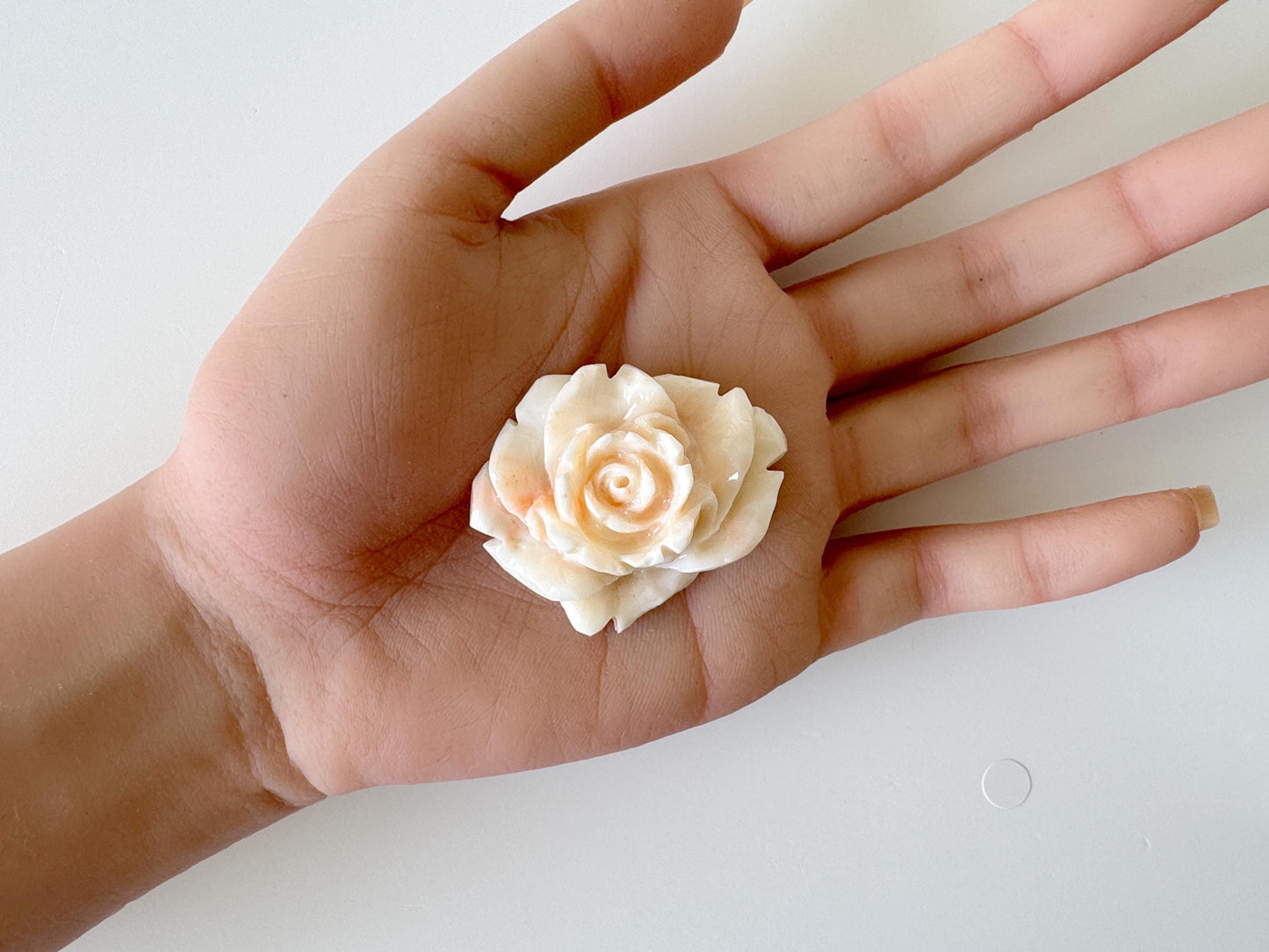 Natural Deep Sea Coral Rose Carving Loose, Natural Pink/White Color Coral, 44x35mm, Flat Back, For Jewelry Making