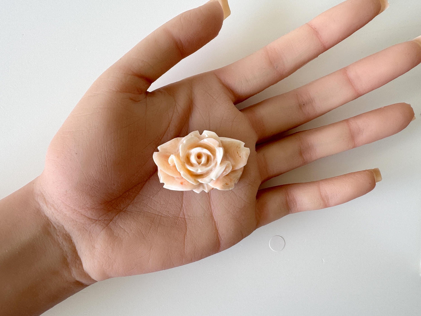 Natural Deep Sea Coral Rose Carving Loose, Natural Pink/White Color Coral, 38x25mm, Flat Back, For Jewelry Making