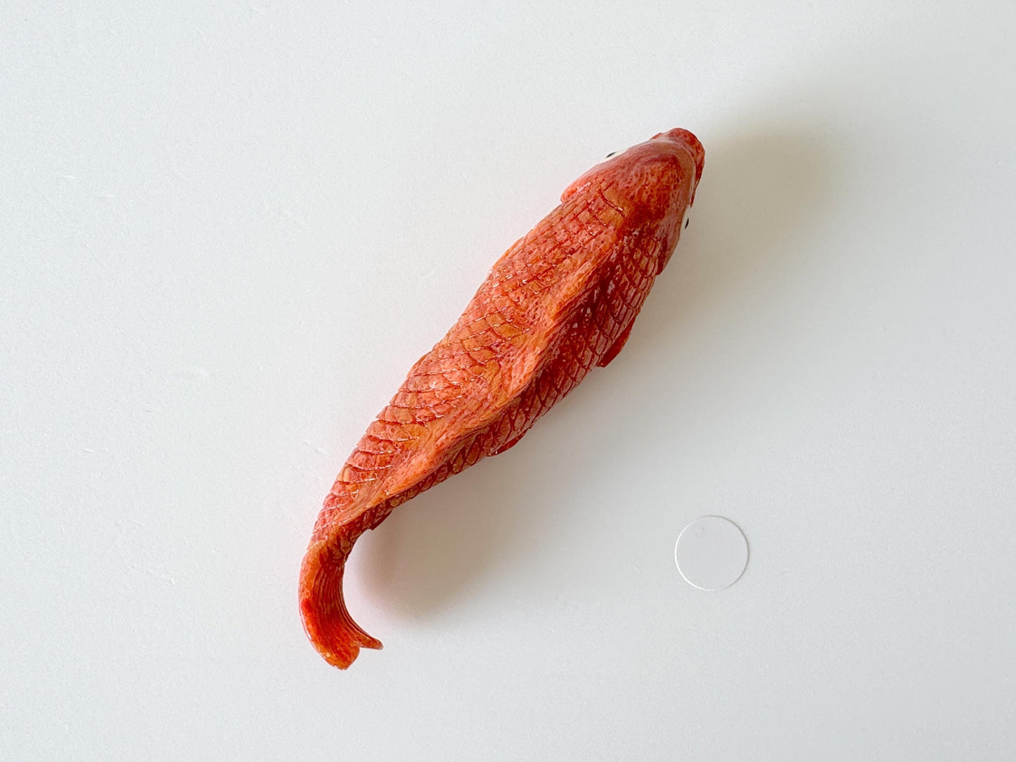 64mm Natural Sponge Coral Carp Carving Loose, Apple Coral Fish Carving, For Display, For Decoration, For Accessory Making