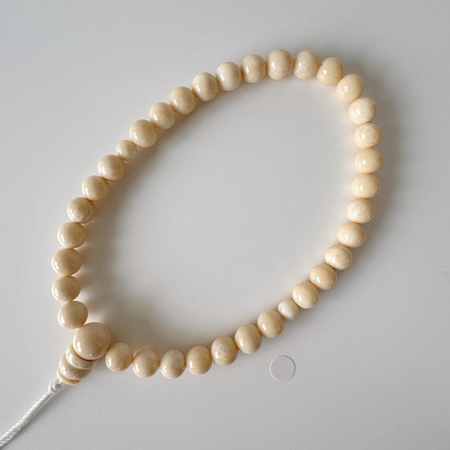 Natural white/ivory color bamboo coral 8-8.5mm Beads For Making Rosary, Mala, Prayer Beads, For Japanese type rosary, price per strand