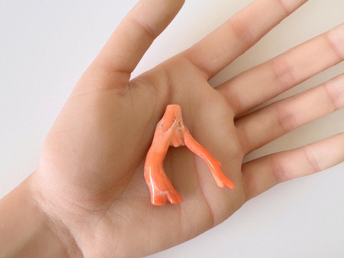 Natural Coral Branch, Pink Orange, 41mm | Hole Top | Deep Sea Coral Jewelry Making Supply