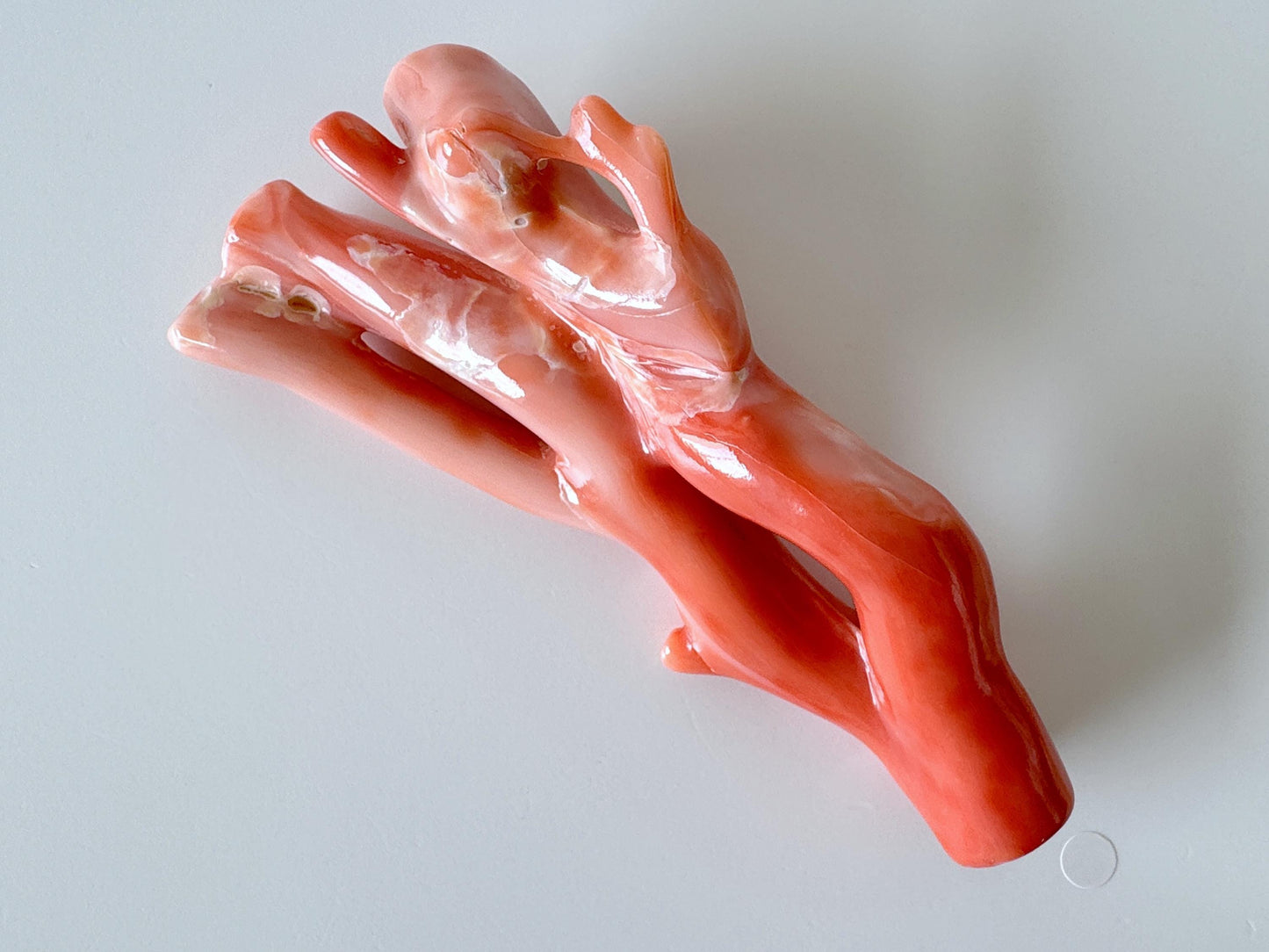 12.8x5.5cm Natural Deep Sea Coral Branch Loose, Genuine Natural Color Orange/Pink Color Coral Branch, No Drilled Hole, For Display