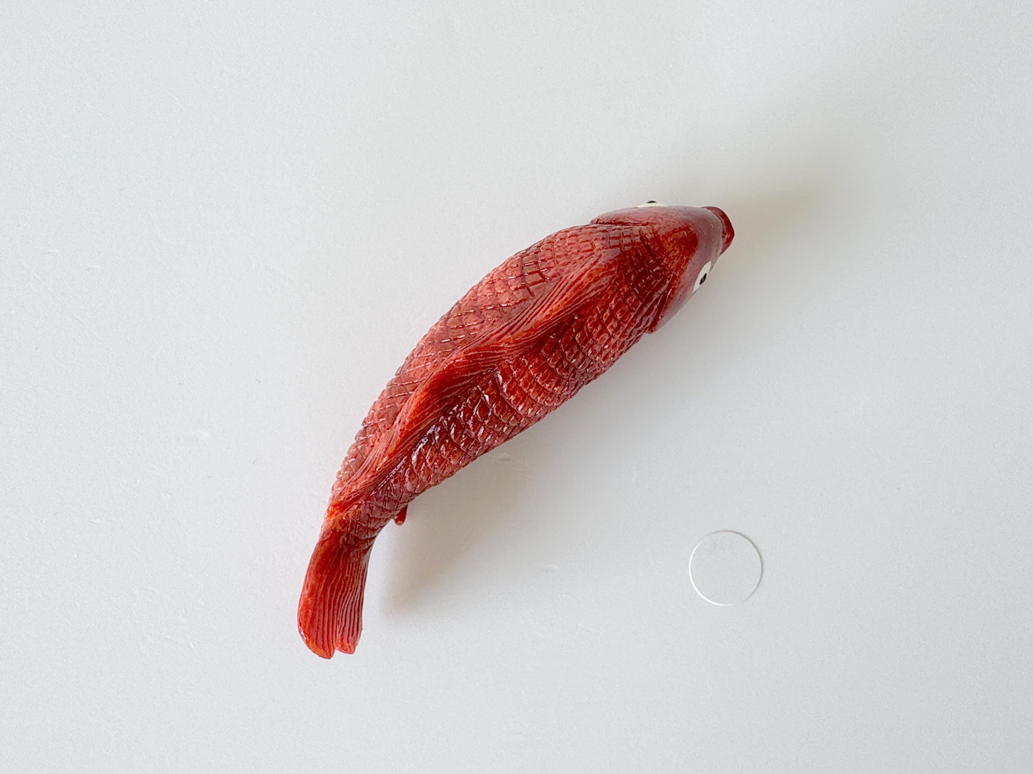 59mm Natural Sponge Coral Carp Carving Loose, Apple Coral Fish Carving, For Display, For Decoration, For Accessory Making