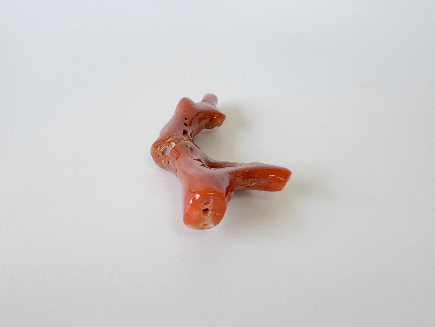 Japanese red(Aka) coral branch, 55mm, Hole on top, Natural red color coral for jewelry making