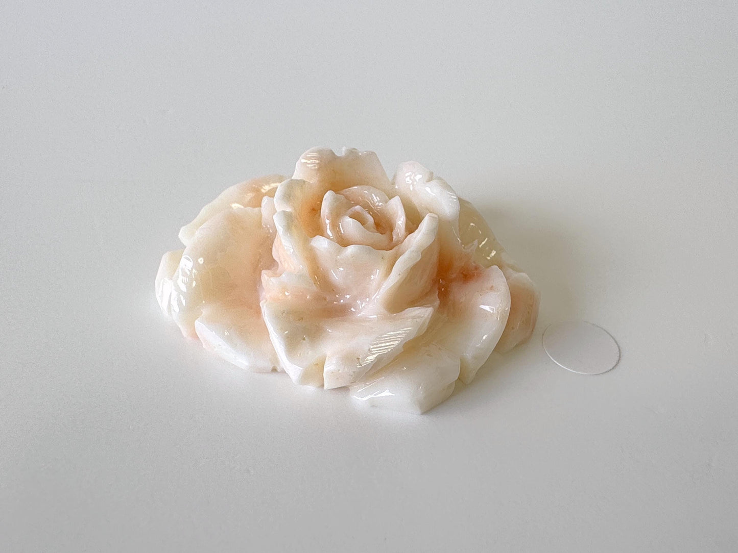 Natural Deep Sea Coral Rose Carving Loose, Natural Pink/White Color Coral, 44x35mm, Flat Back, For Jewelry Making