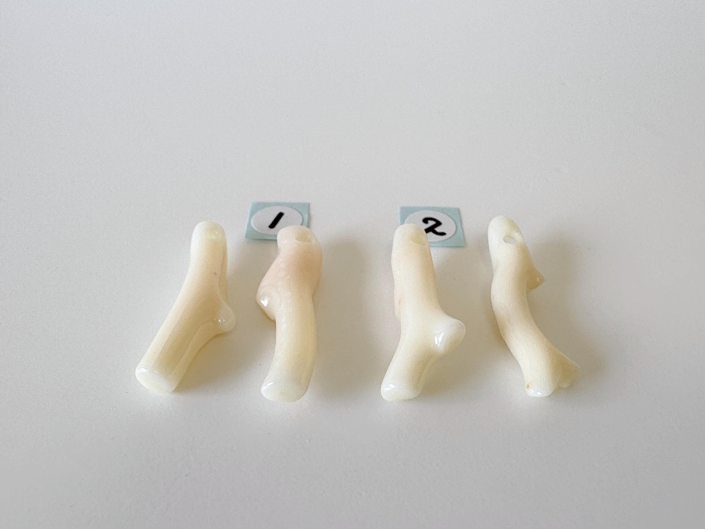 Value-priced Natural White Coral Branch Loose, Set of 2 pieces, Natural Color Deep Sea Midway Coral Branch