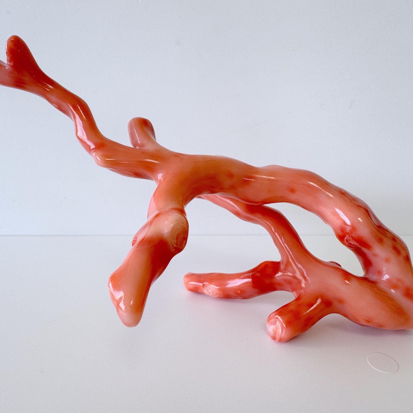 17.5x7cm Natural Deep Sea Coral Branch Loose, Genuine Natural Color Orange/Pink Color Coral Branch, No Drilled Hole, For Display