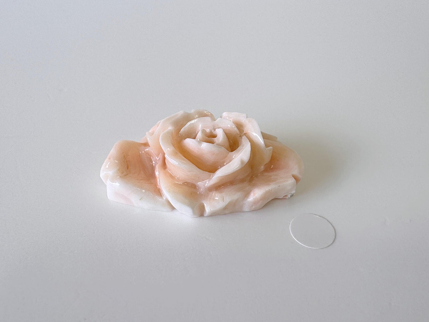 Natural Deep Sea Coral Rose Carving Loose, Natural Pink/White Color Coral, 38x25mm, Flat Back, For Jewelry Making