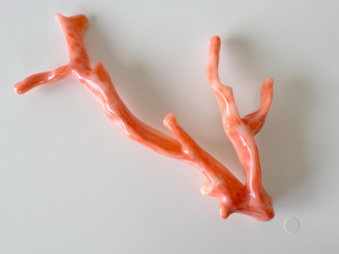 14.5x7cm Natural Deep Sea Coral Branch Loose, Genuine Natural Color Pink/Orange Color Coral Branch, No Drilled Hole, For Display, Etc.