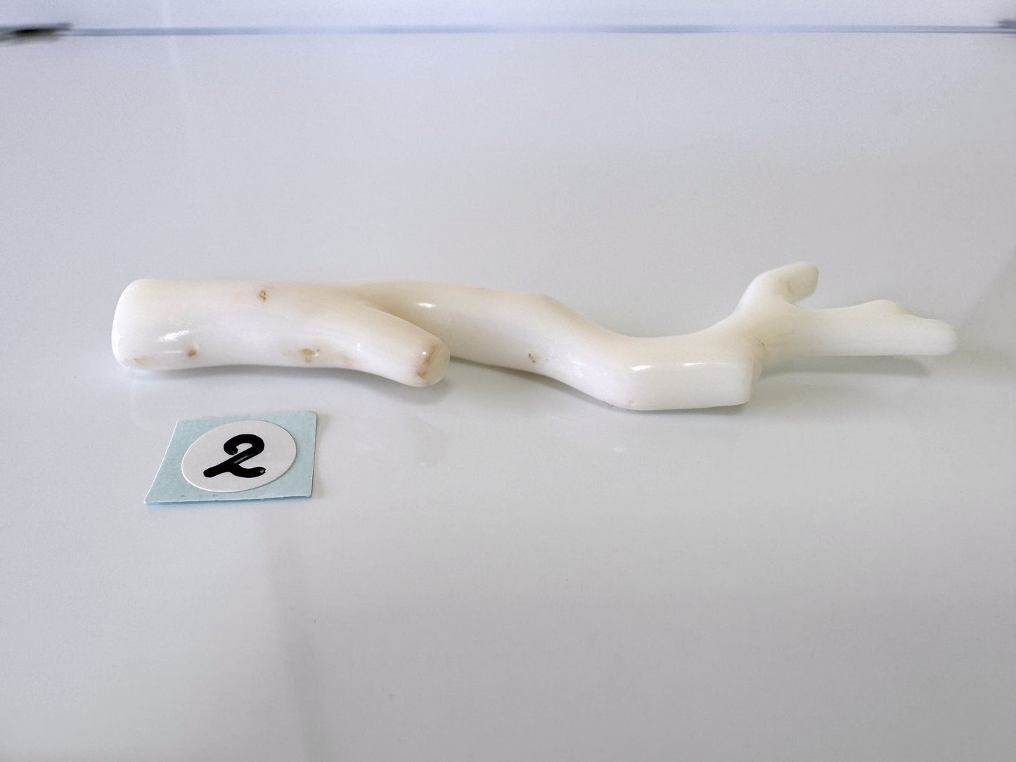 Natural White Coral Branch Loose, Precious Coral Branch, Half-drilled hole on top, Genuine Coral for Jewelry Making, Price per Piece