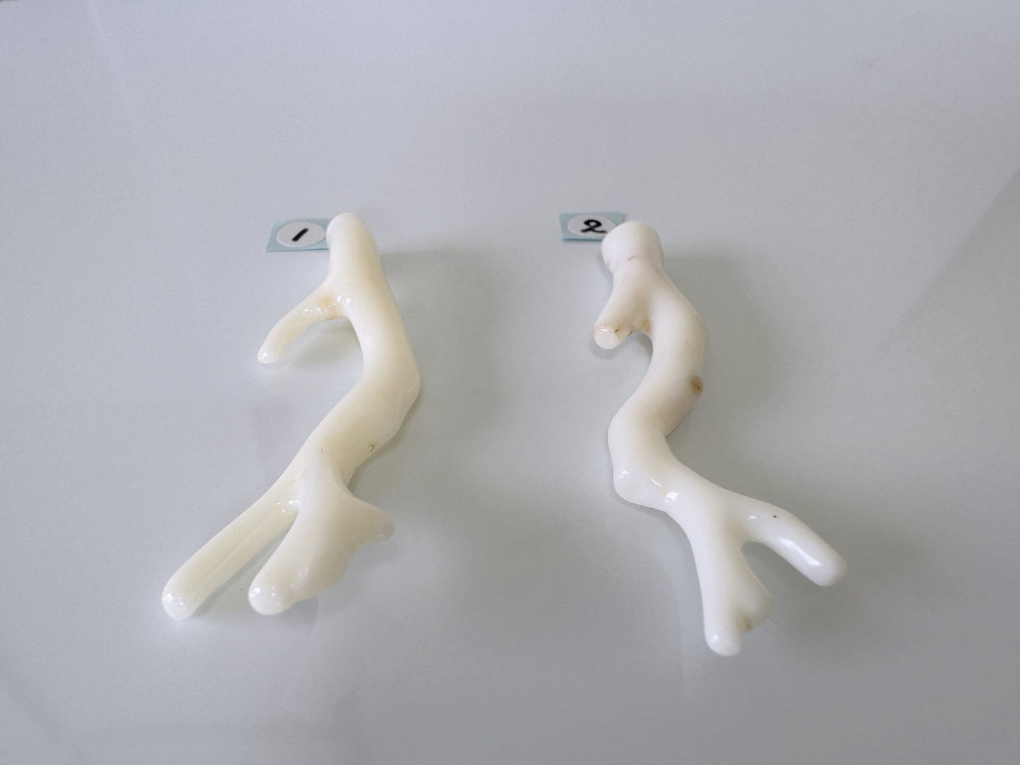 Natural White Coral Branch Loose, Precious Coral Branch, Half-drilled hole on top, Genuine Coral for Jewelry Making, Price per Piece