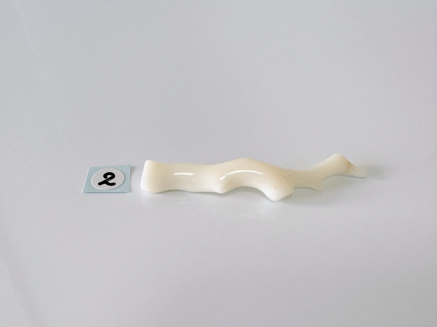 Natural White Coral Branch Loose, White Color Precious Coral Branch, Genuine Coral for jewelry making, Price per piece