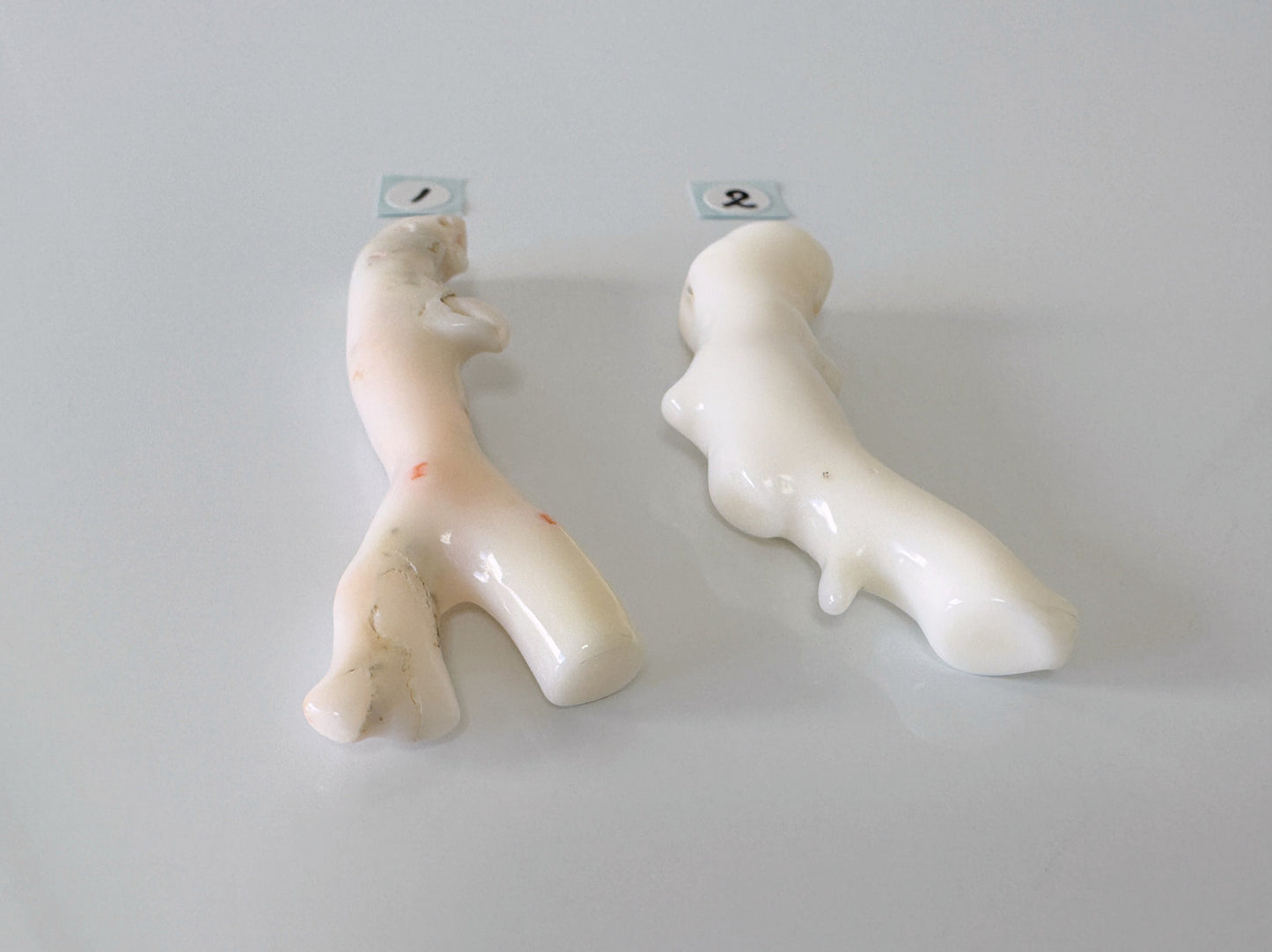 Natural White Coral Branch Loose, White Color Precious Coral Branch, Genuine Coral for jewelry making, Price per piece