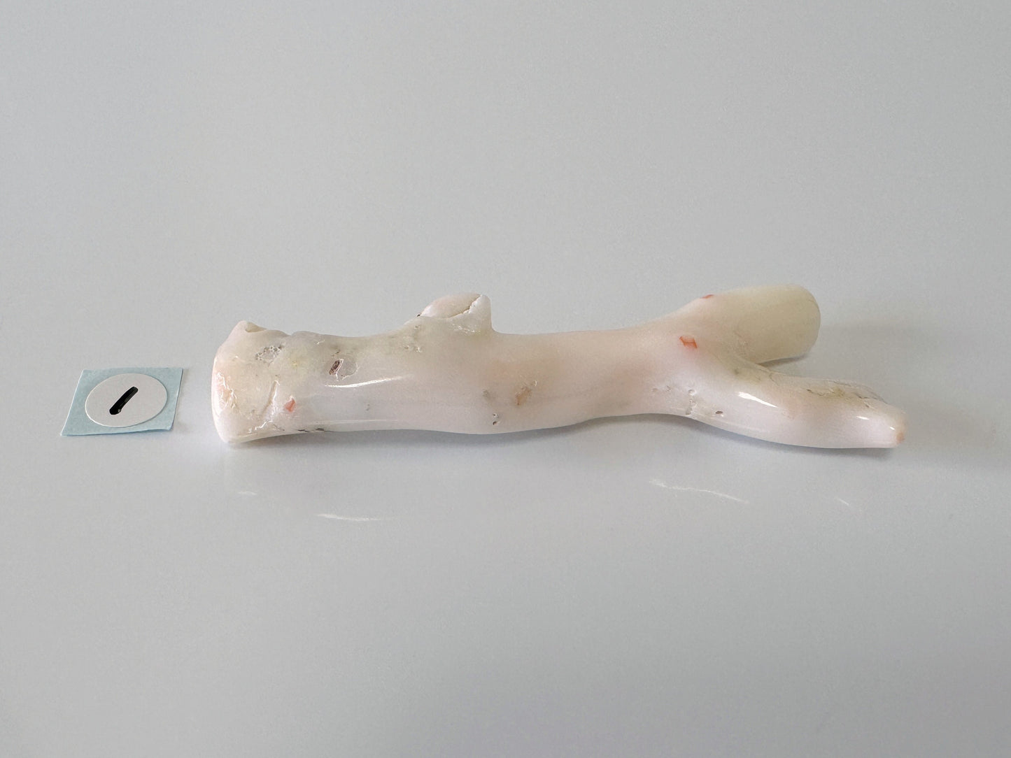 Natural White Coral Branch Loose, White Color Precious Coral Branch, Genuine Coral for jewelry making, Price per piece