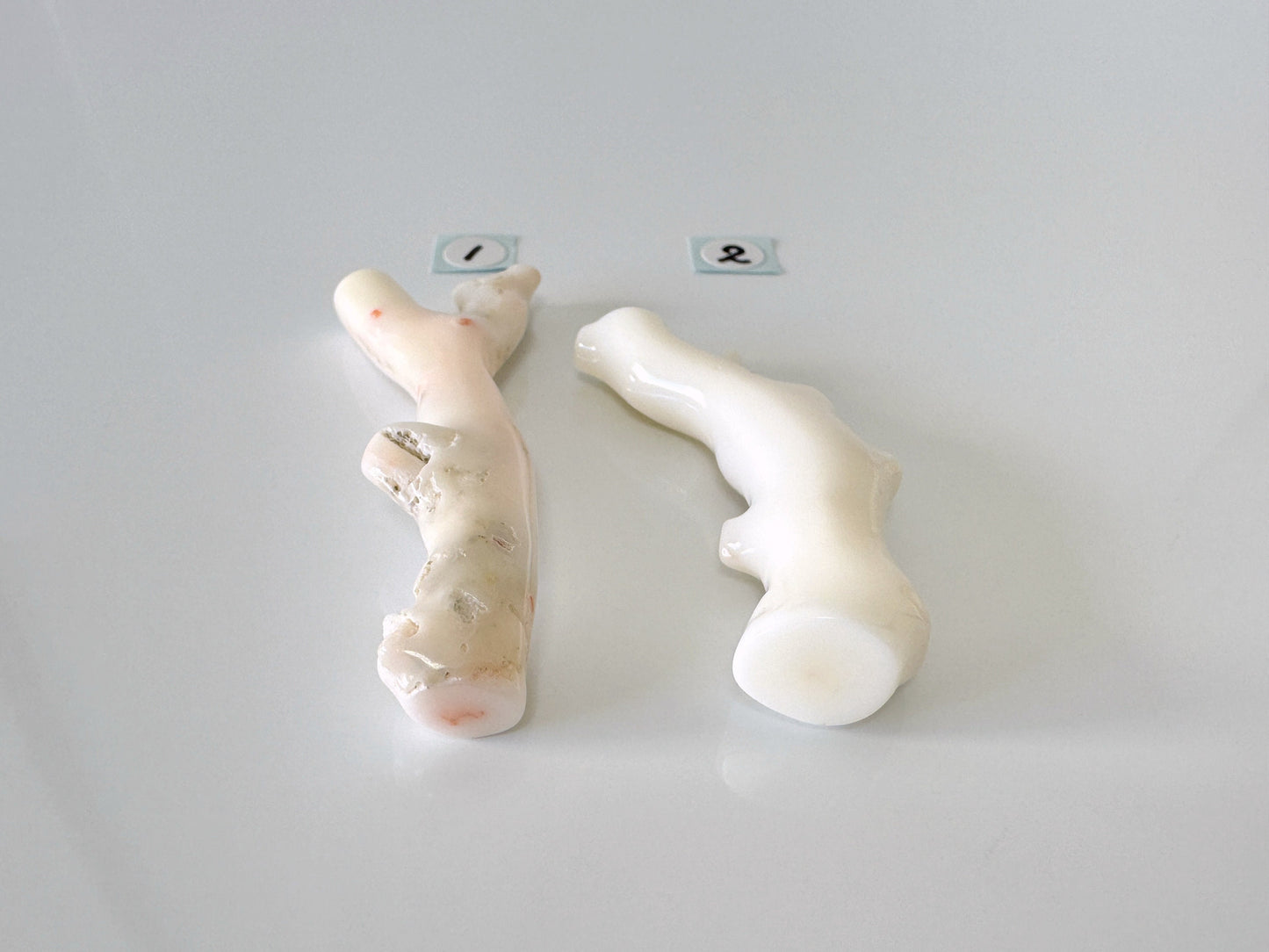 Natural White Coral Branch Loose, White Color Precious Coral Branch, Genuine Coral for jewelry making, Price per piece