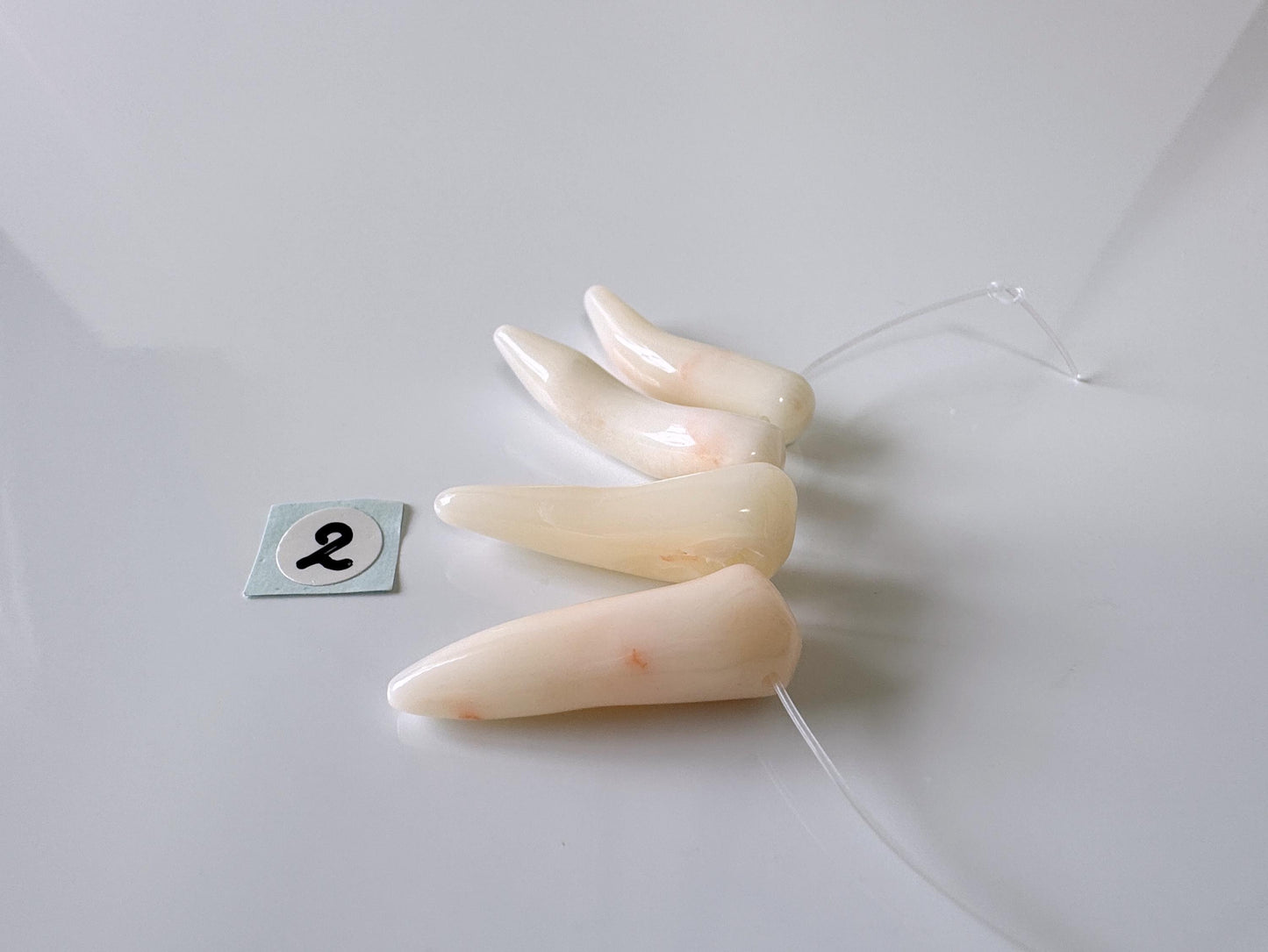 Natural white pink coral, Full-hole of 4 pieces, Value price, Natural color coral, for jewelry making