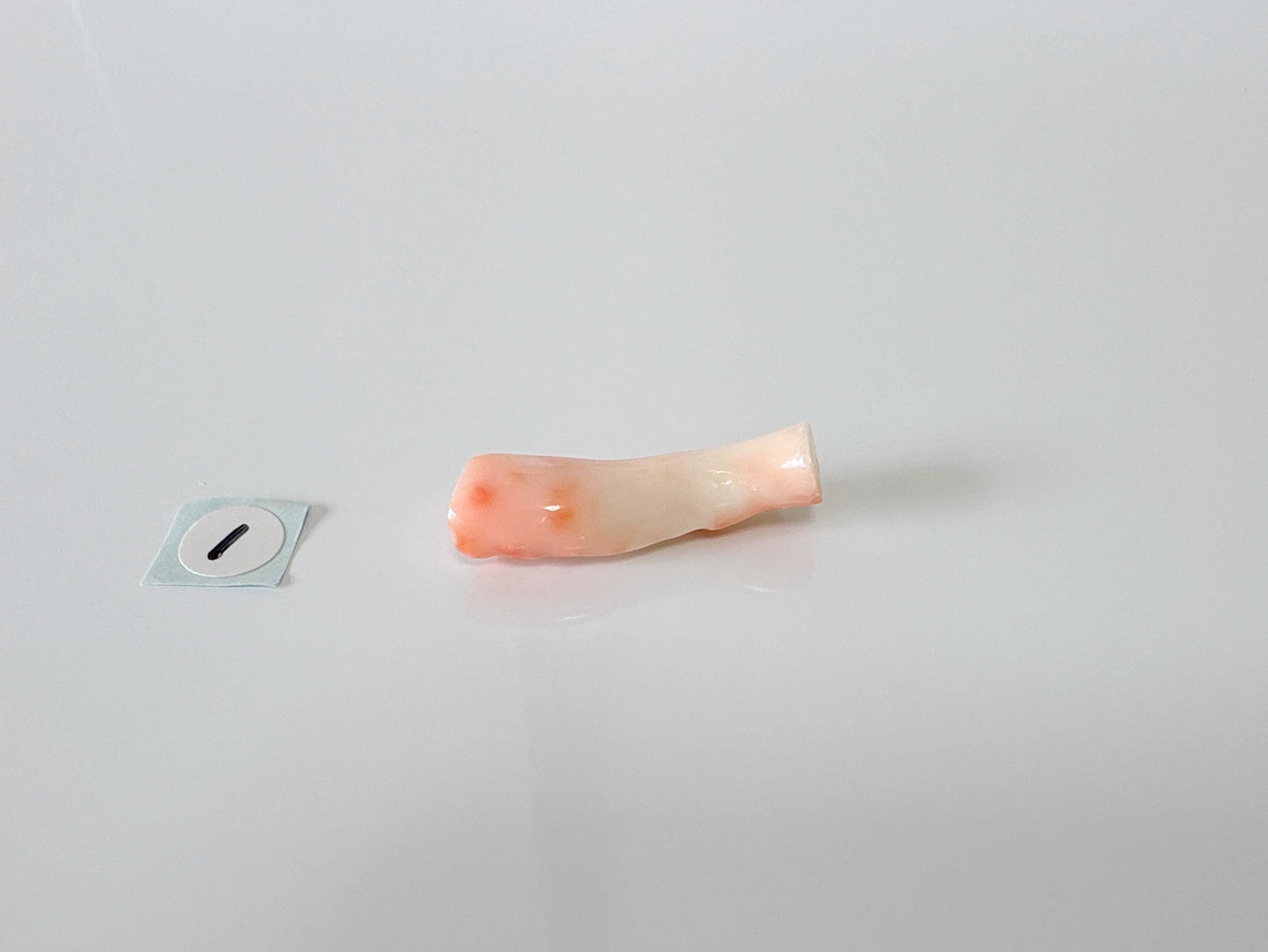 Natural Deep Sea Coral Branch Loose, Pink/White Color, Hole on Top, 22-25mm, Genuine Precious Coral, For Jewelry Making, Price per Piece